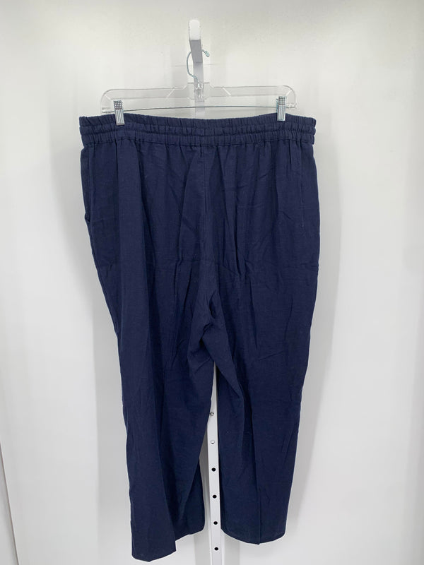 d & co. Size 1X Womens Pants