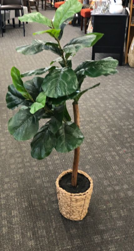 FAUX TREE IN WOVEN PLANTER W/ FAUX BLACK DIRT.