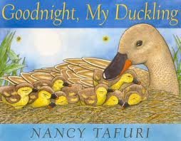 GOOD NIGHT MY DUCKLING Board Book | Indigo Chapters - Nancy Tafuri