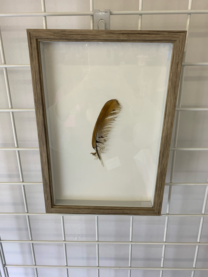 BROWN FEATHER IN A WOODEN FRAME.