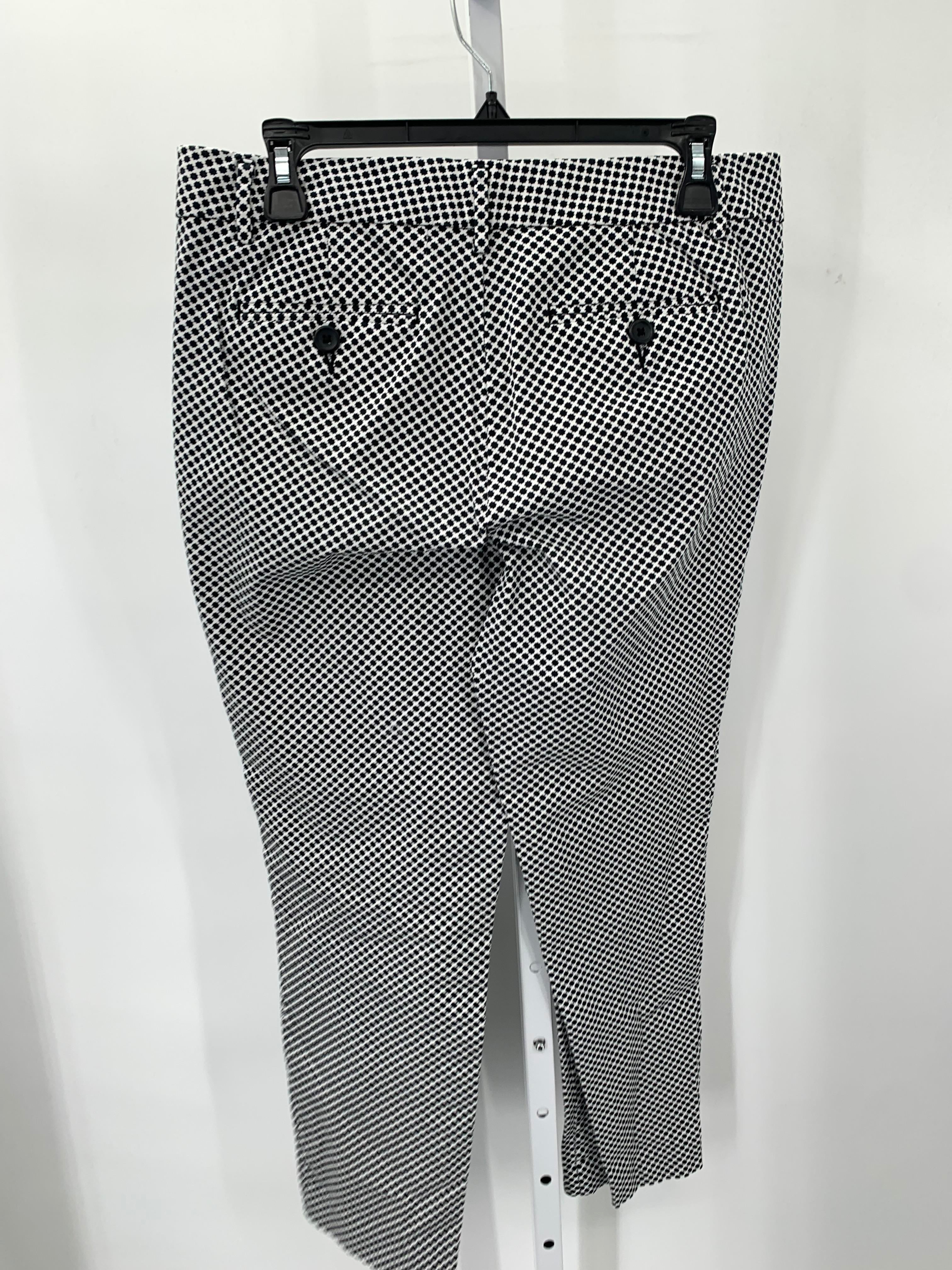 Stylus Size 8 Misses Pants