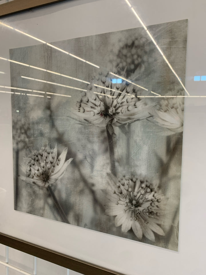3 DANDELION PRINT IN GREY FRAME.