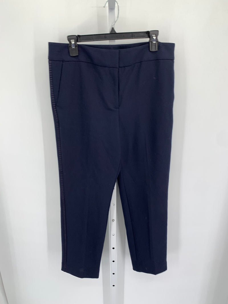 Loft Size 12 Misses Pants