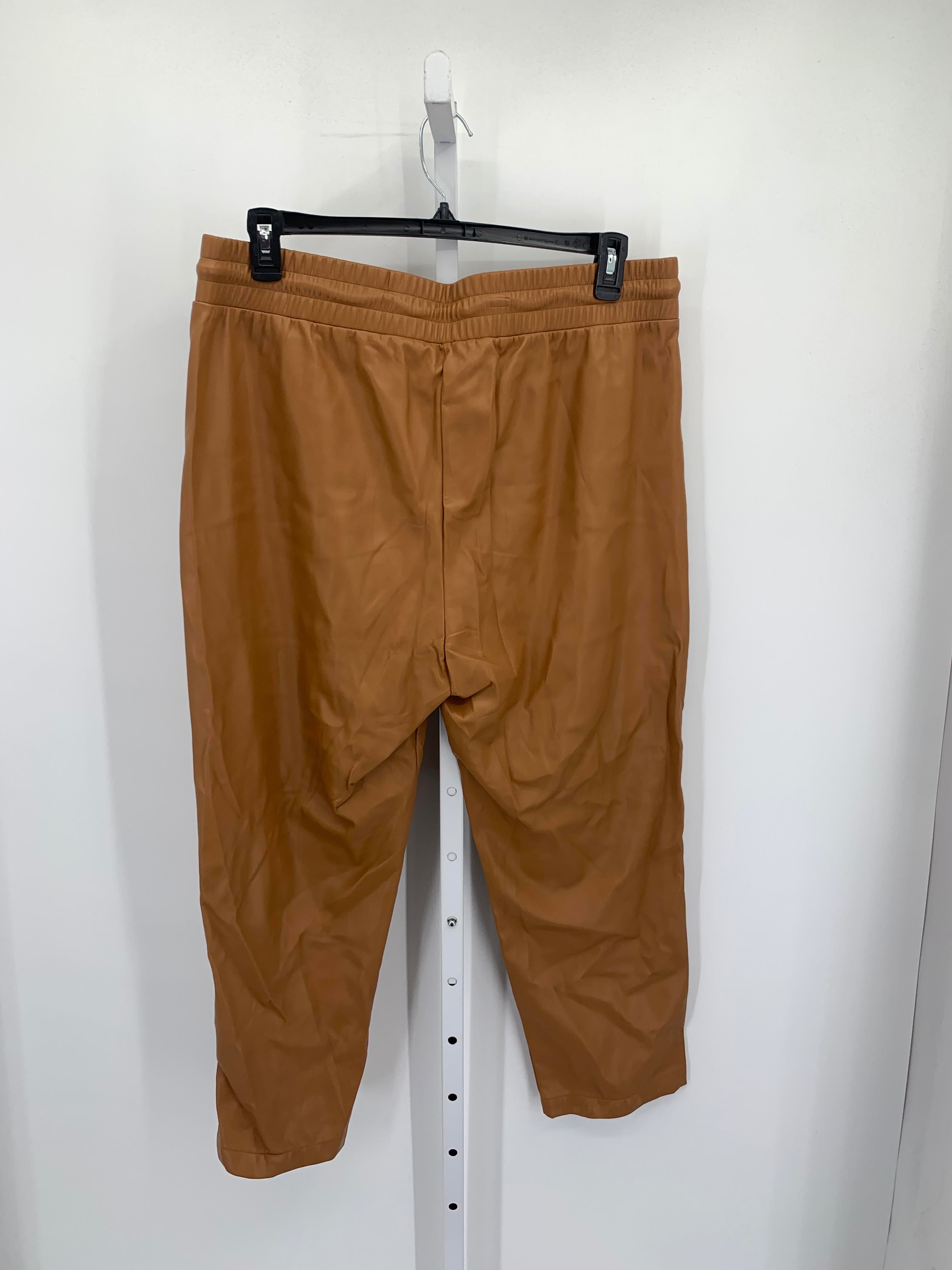 Loft Size Extra Large Misses Pants