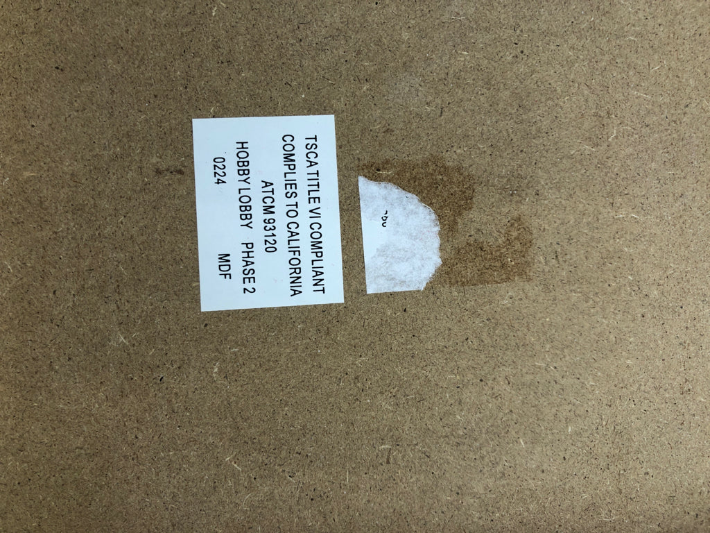 WHITE WOOD W/PAINTED LEAVES ON STEMS WALL HANGING.