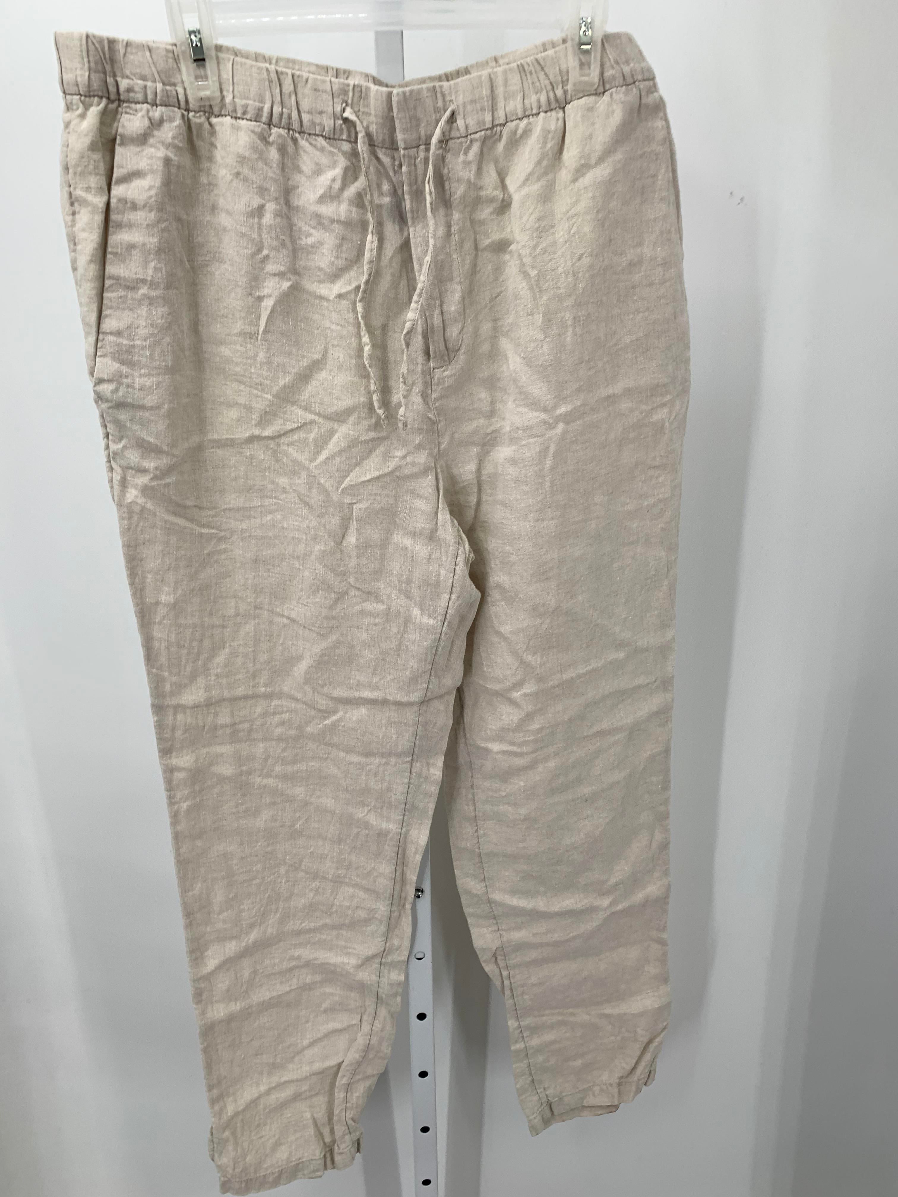 H&M Size Large Misses Pants