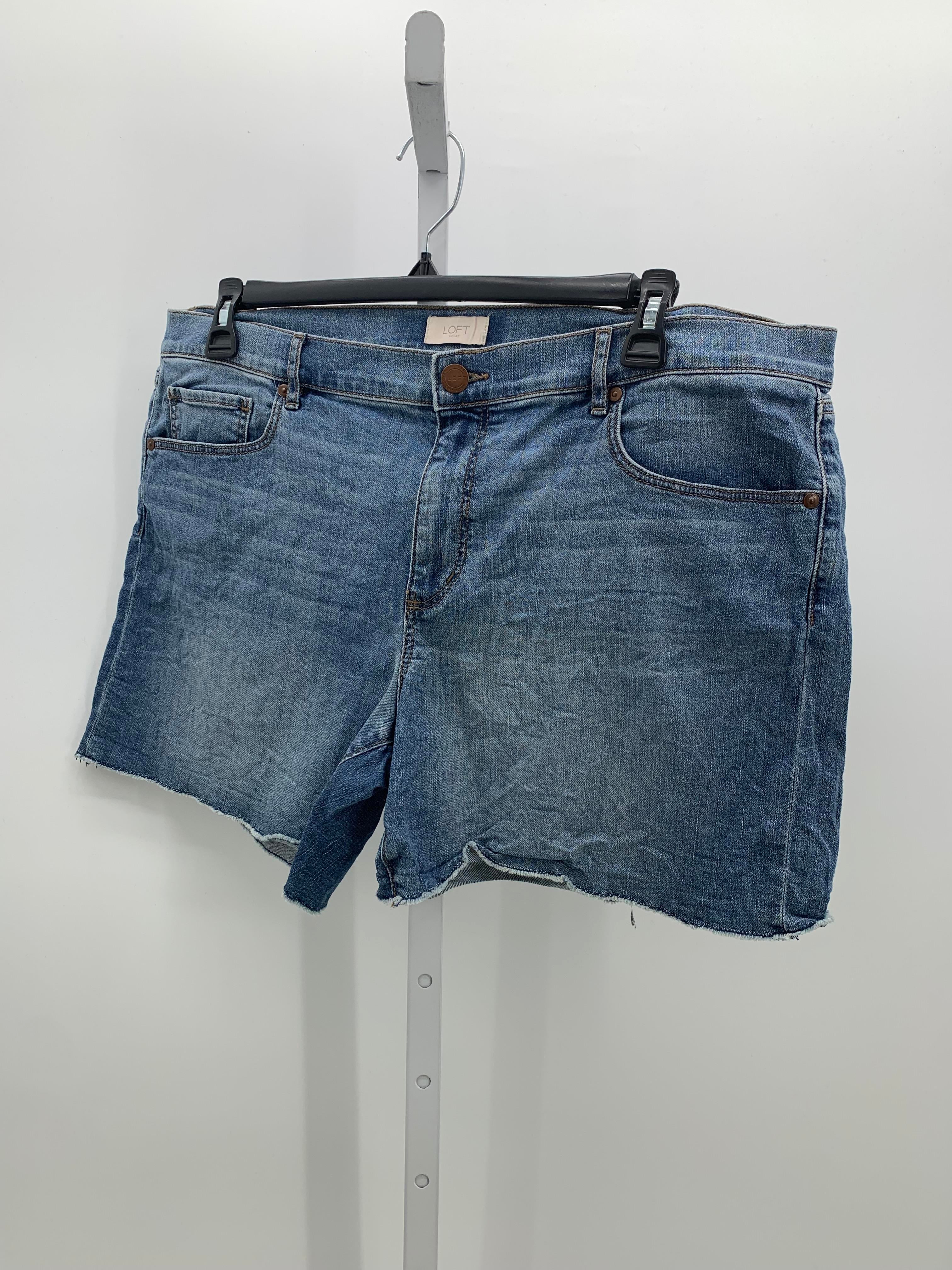 Loft Size 16 Misses Shorts