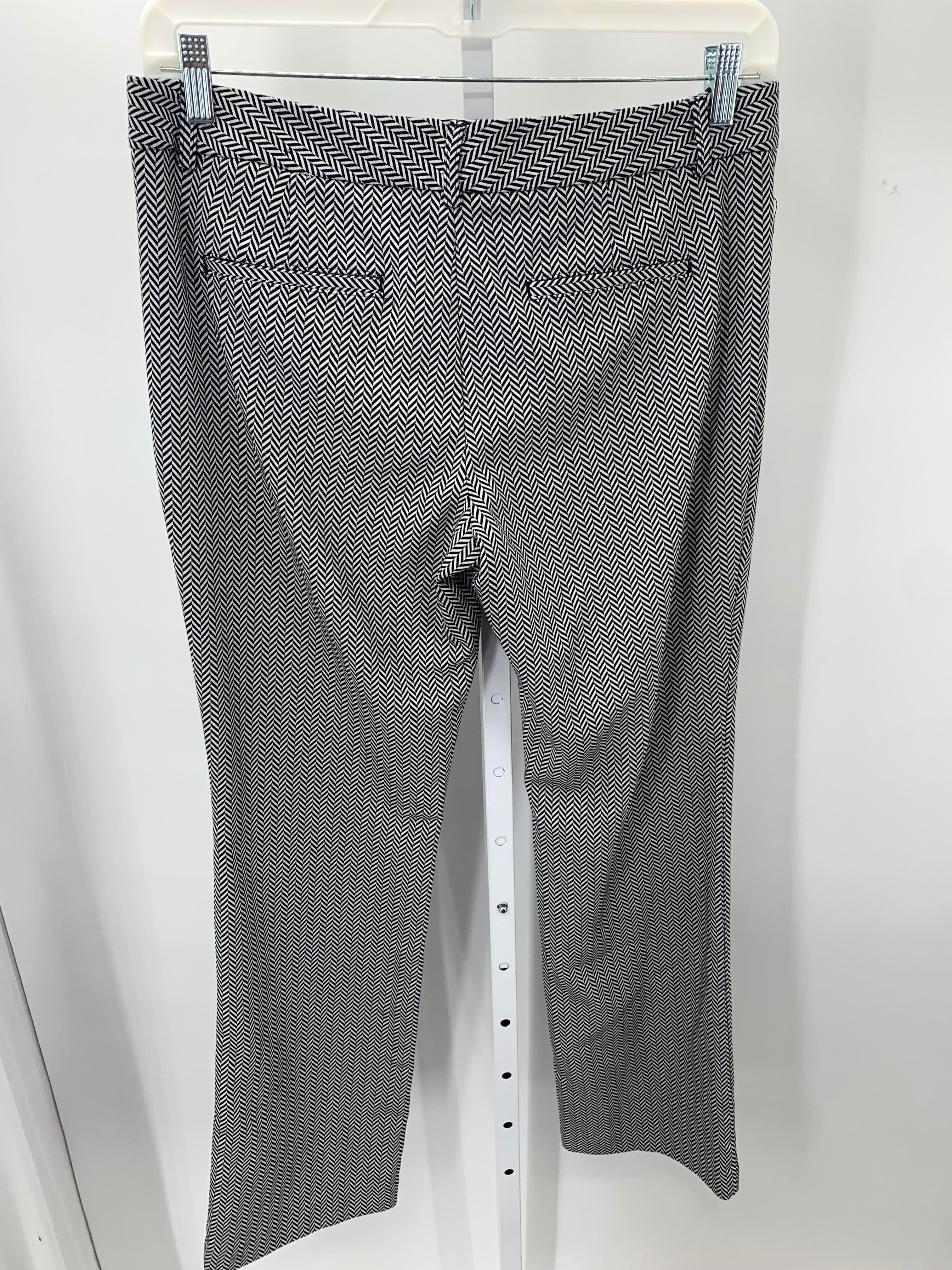 Express Size 12 Misses Pants