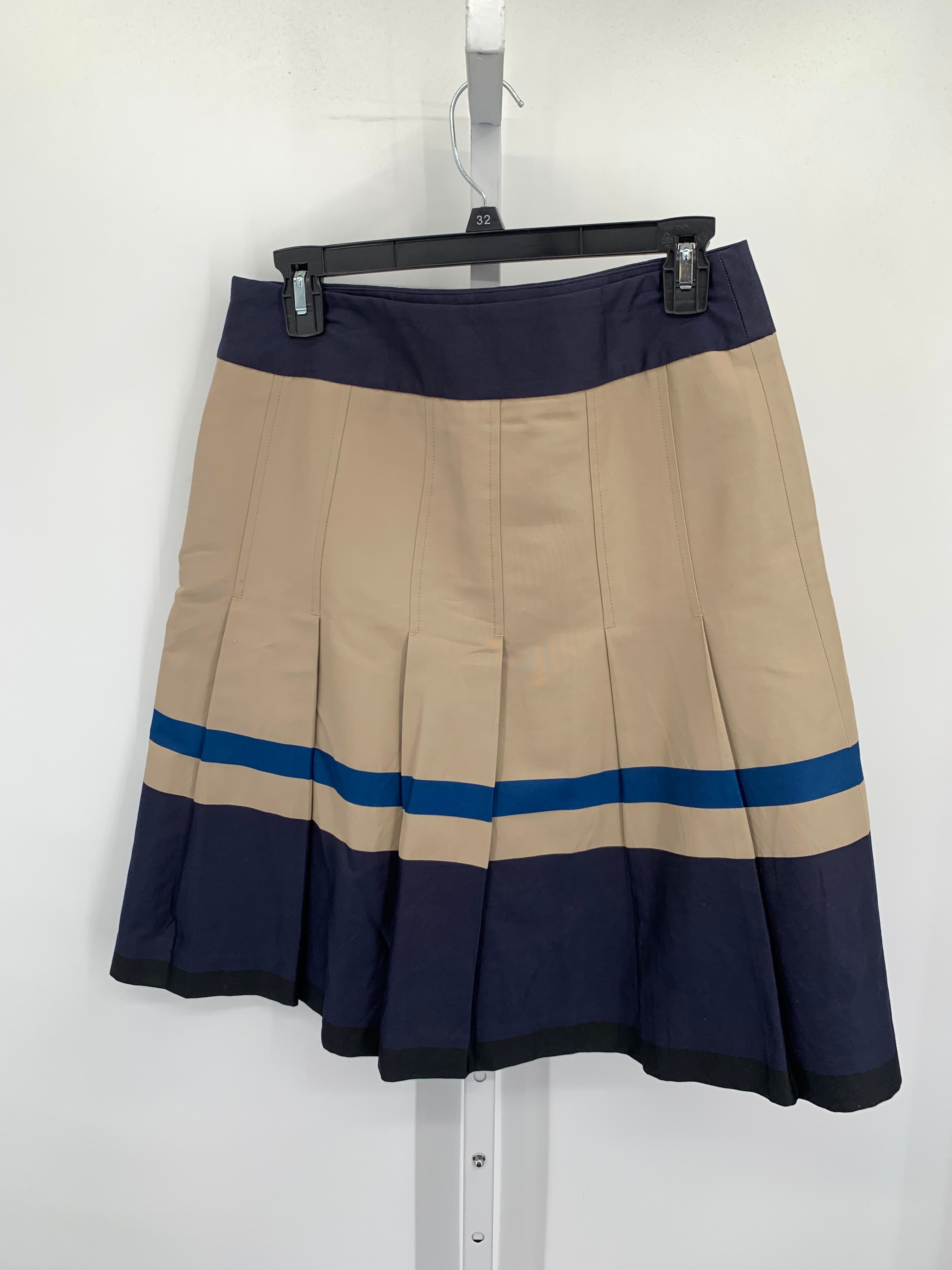 Ann Taylor Size 4 Misses Skirt