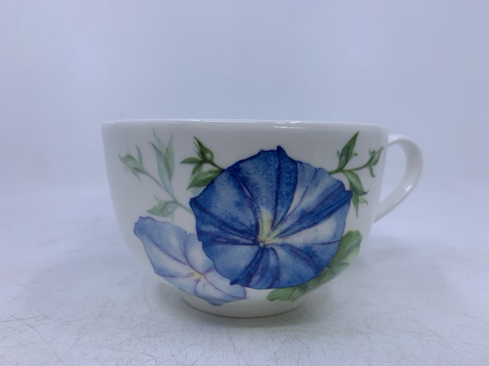 MORNING GLORY BLUE FLOWER.