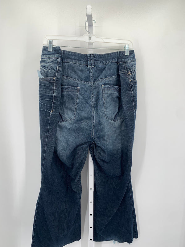 Lane Bryant Size 26 W Womens Jeans