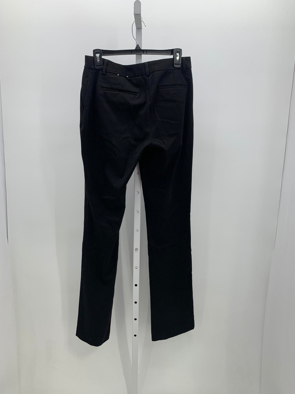 Express Size 8 Long Misses Pants