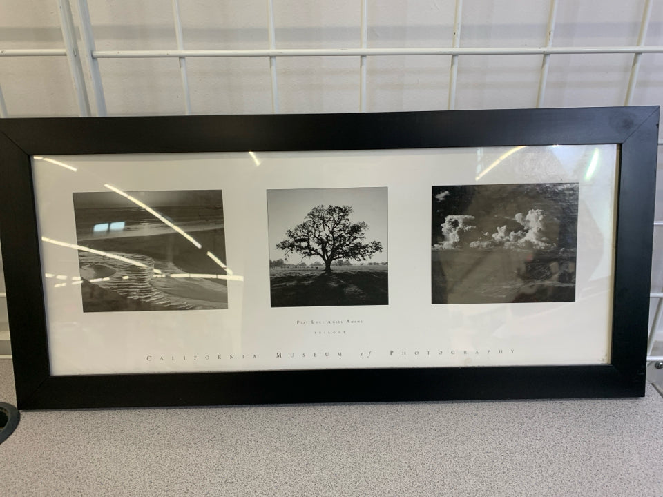 ANSEL ADAMS TRILOGY BLACK/WHITE PHOTOS IN BLACK FRAME.
