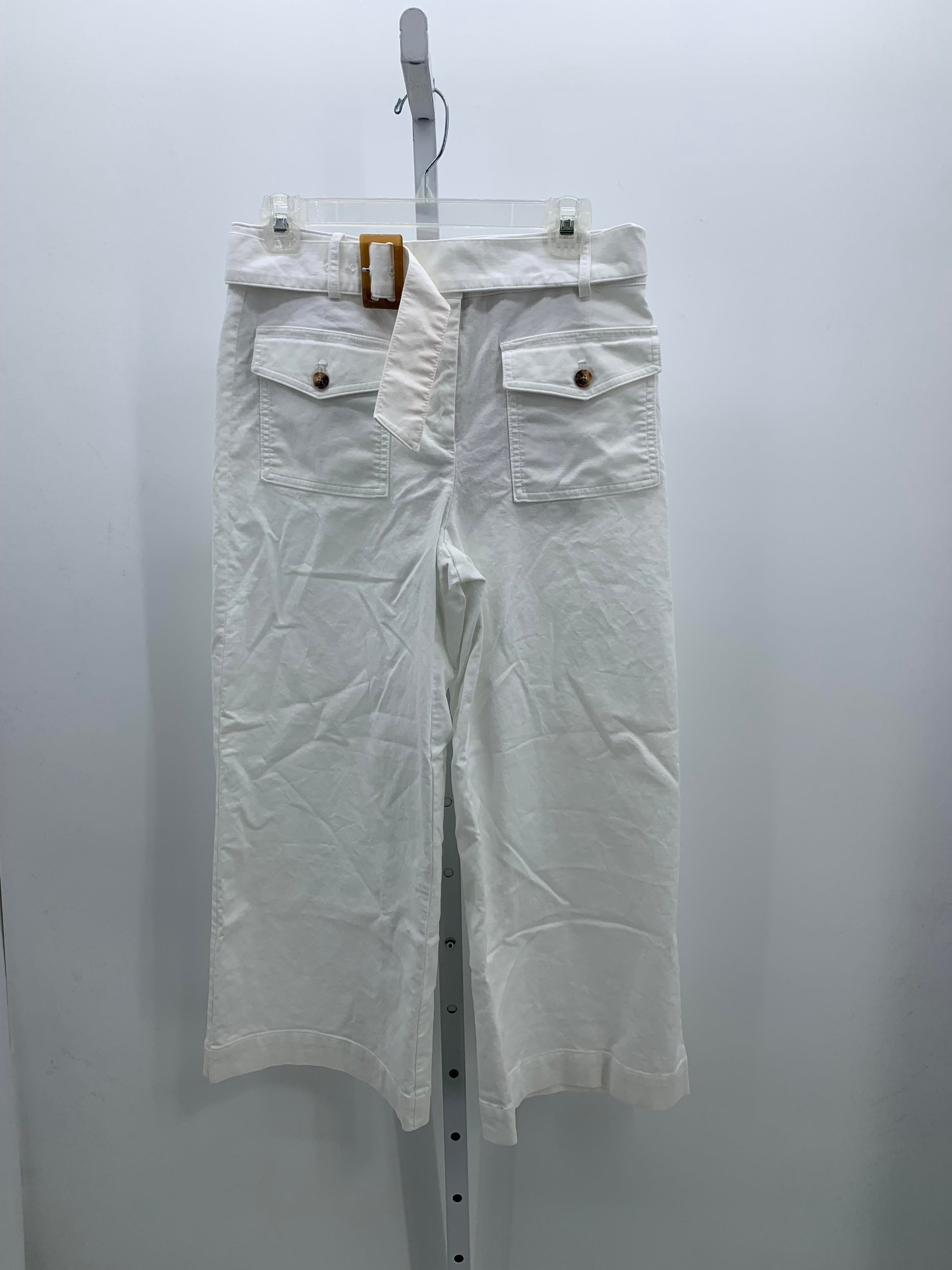 Loft Size 6 Misses Pants