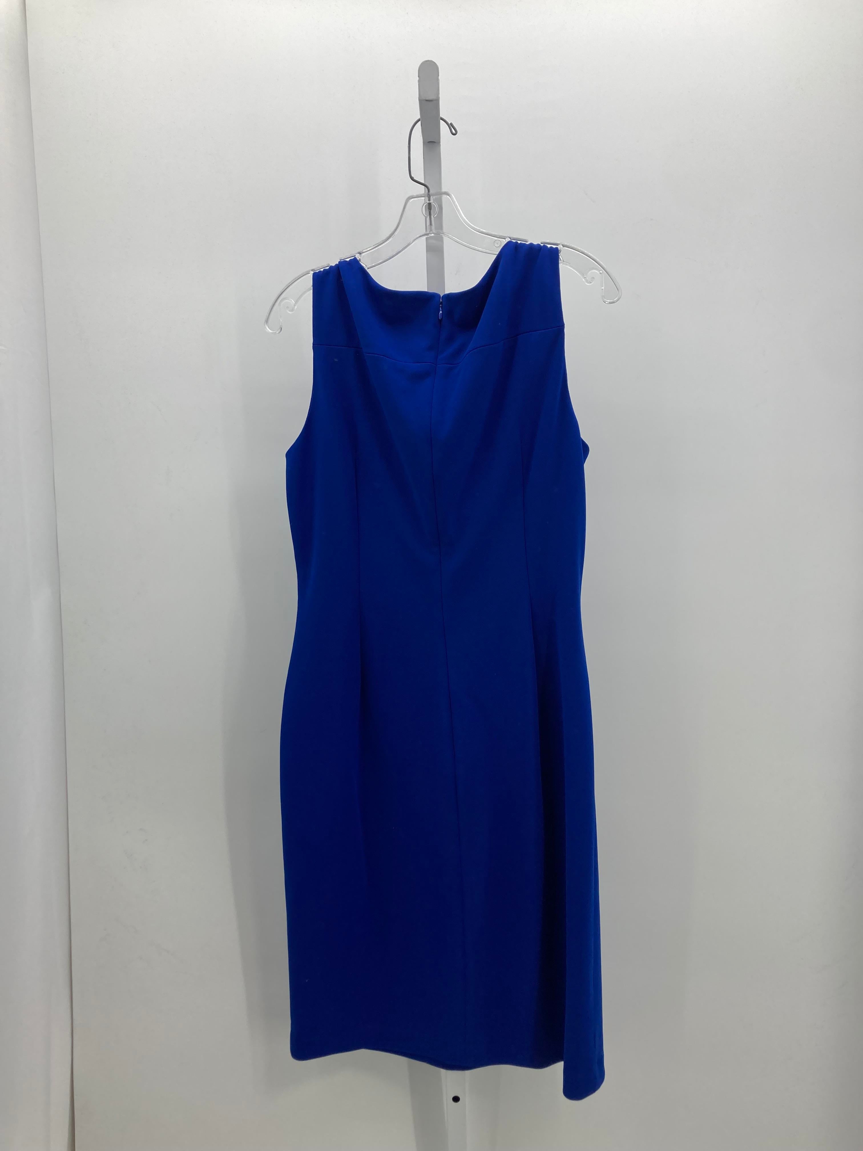 Calvin Klein Size 12 Misses Sleeveless Dress