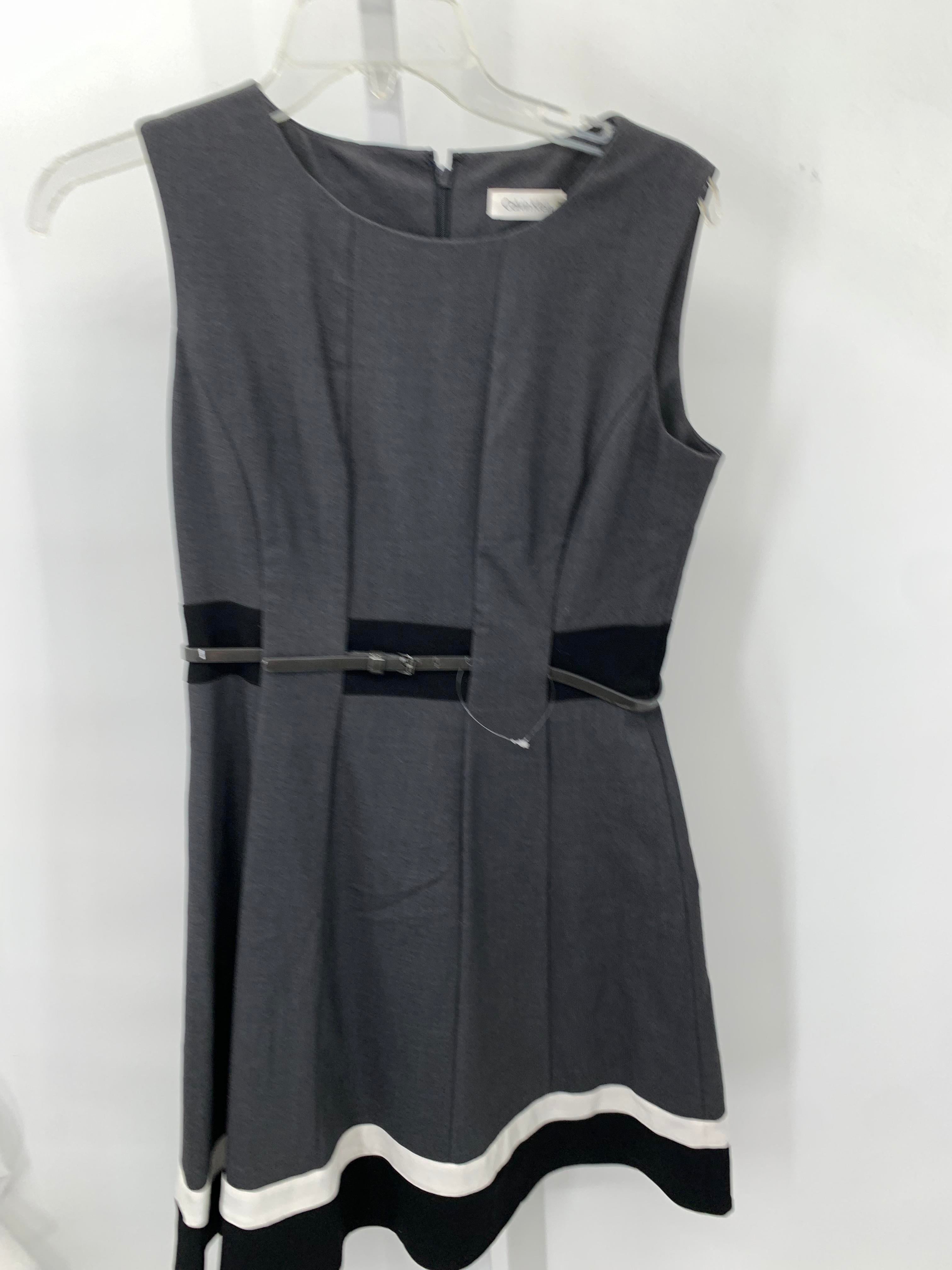 Calvin Klein Size 8 Petite Petite Sleeveless Dress
