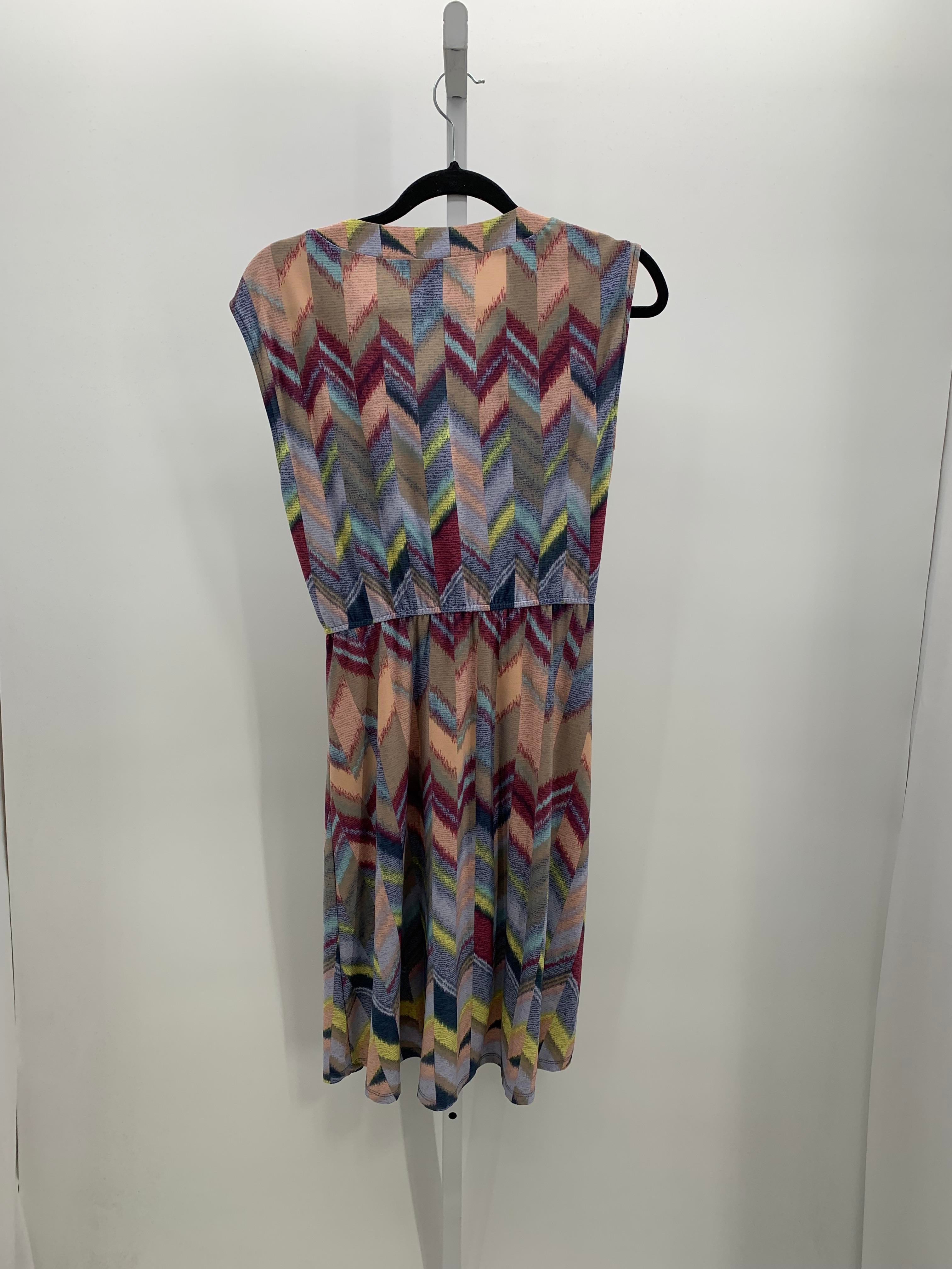 BCBG Size Medium Misses Sleeveless Dress