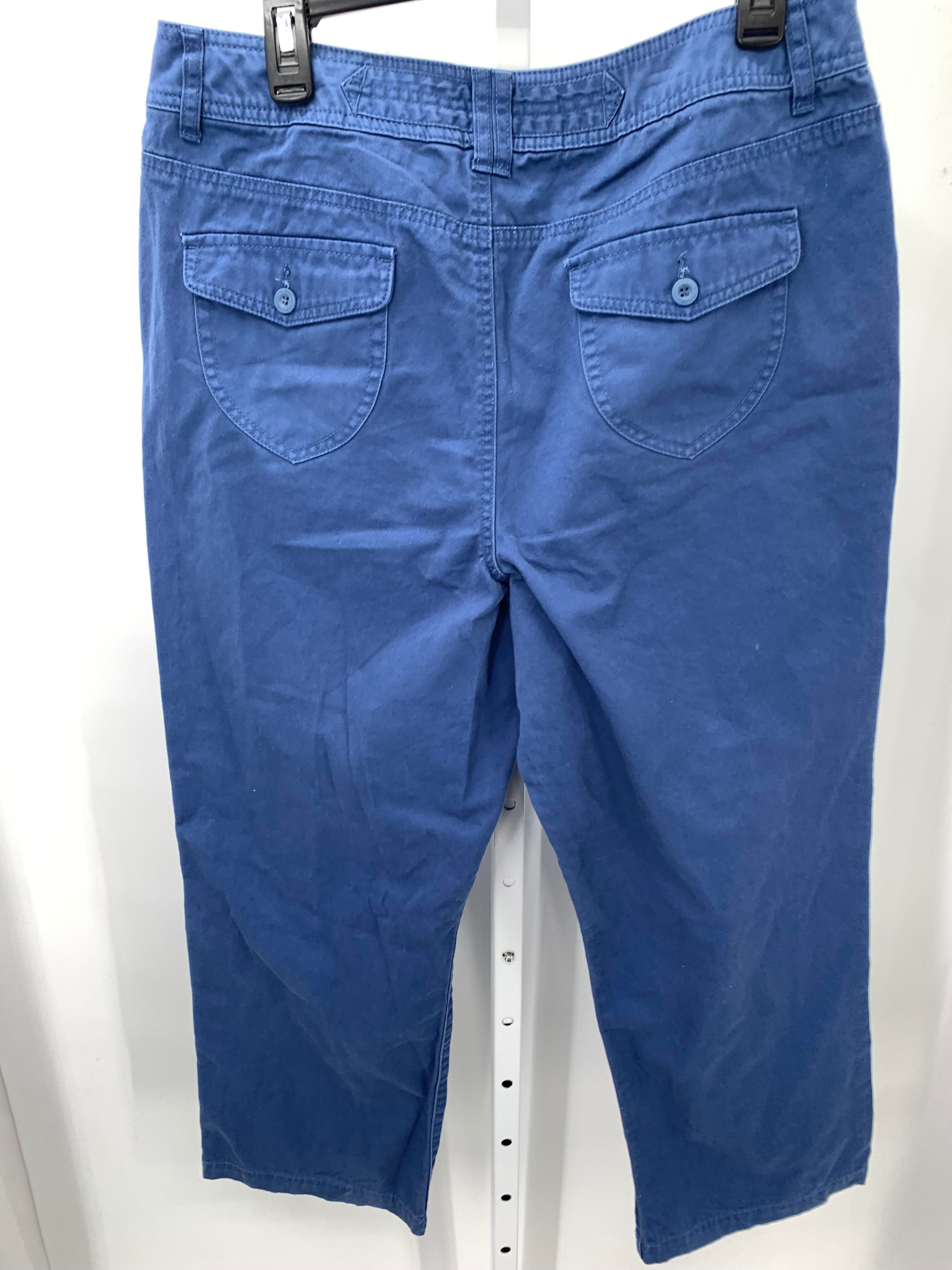 Christopher & Banks Size 16 Petite Petite Pants