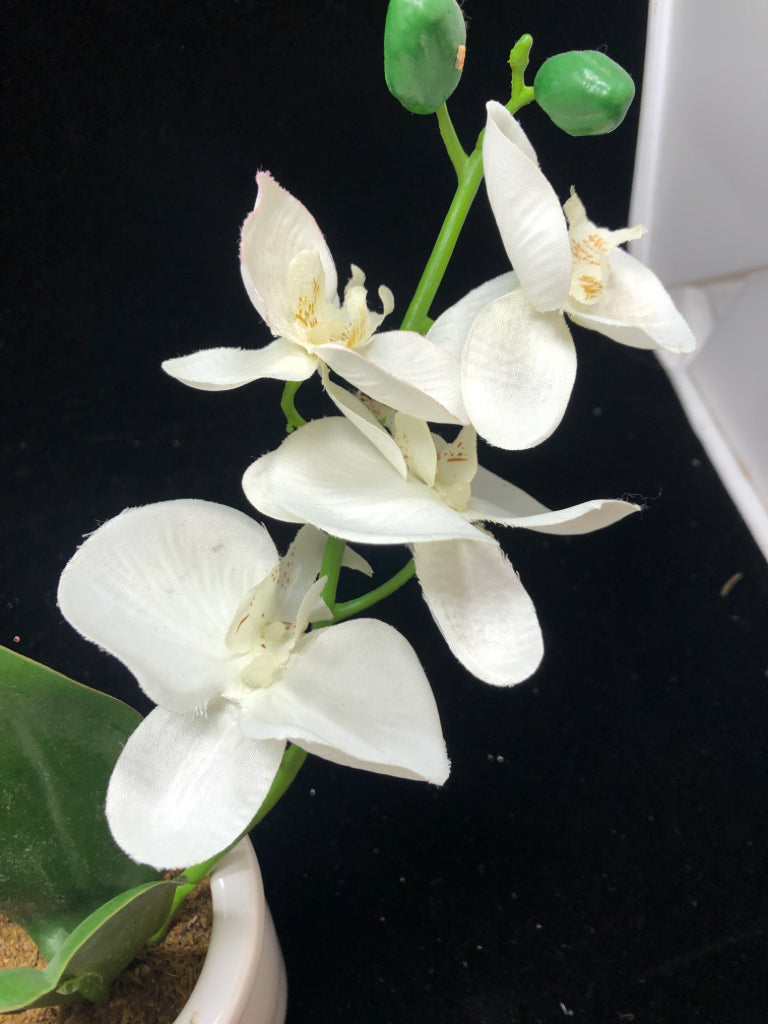 FAUX ORCHID IN WHITE POT.