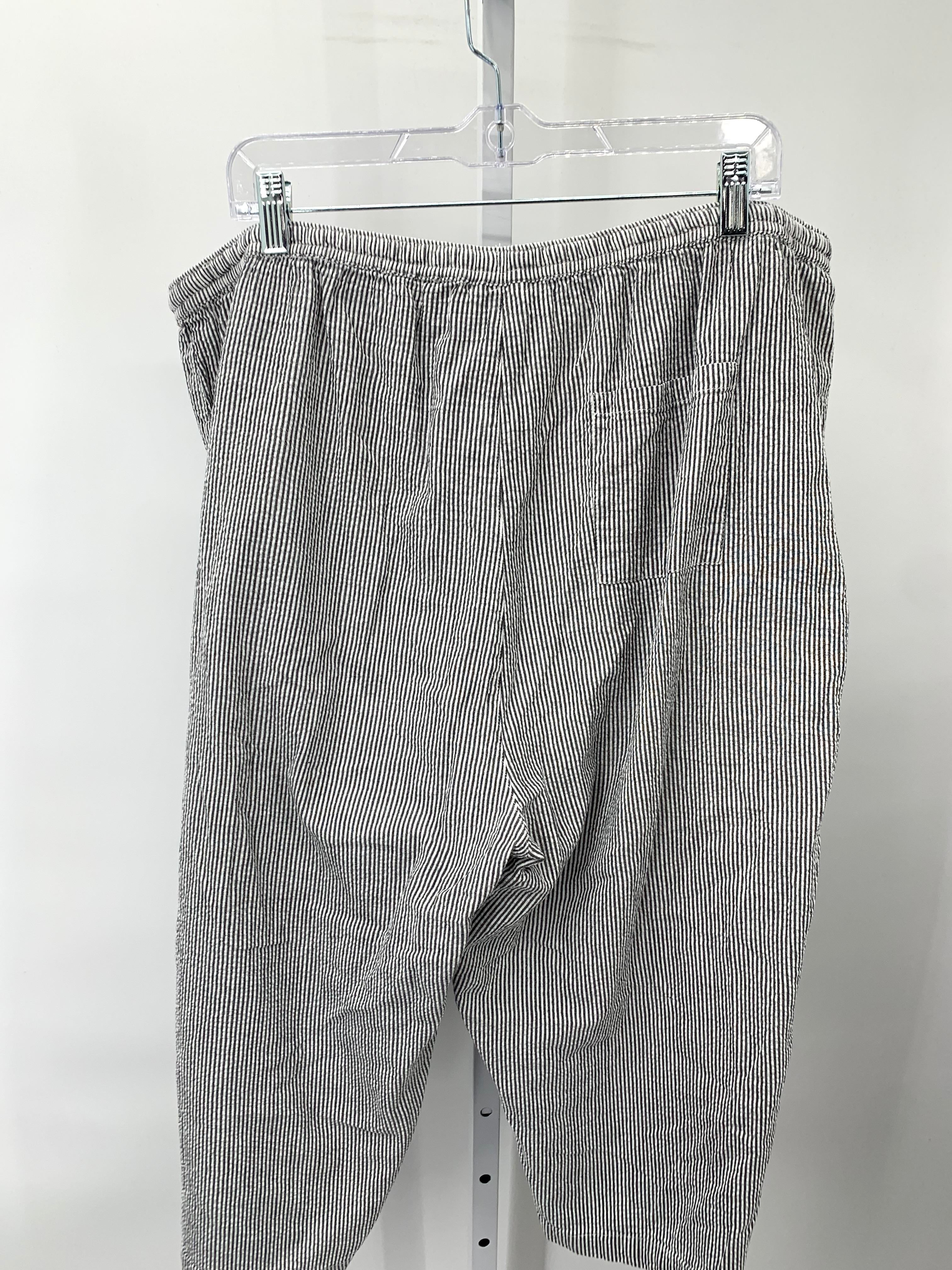 Karen Scott Size 2X Womens Cropped Pants