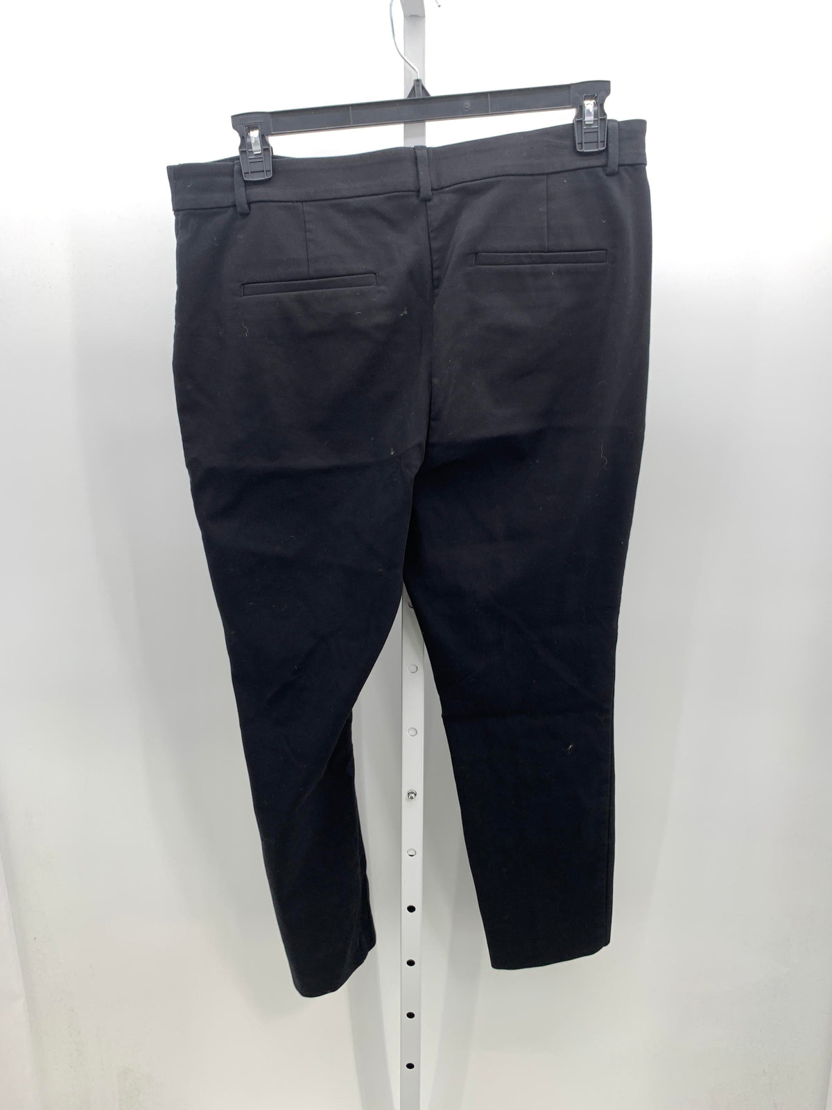 Loft Size 14 Misses Pants