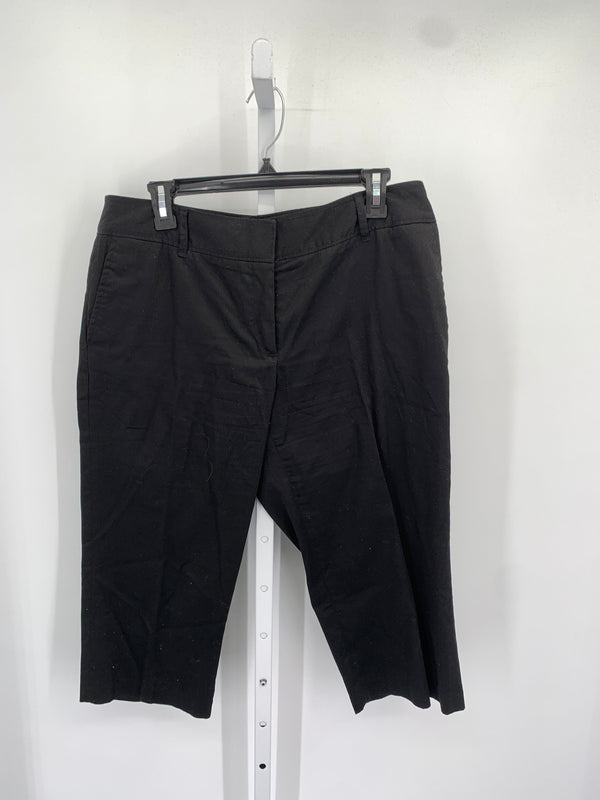 Dalia Collection Size 12 Petite Petite Capri Pants