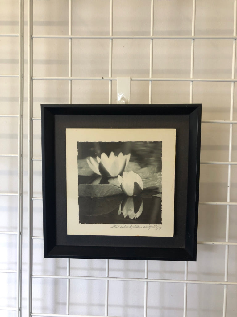 LILY PADS IN BLACK FRAME WALL ART.