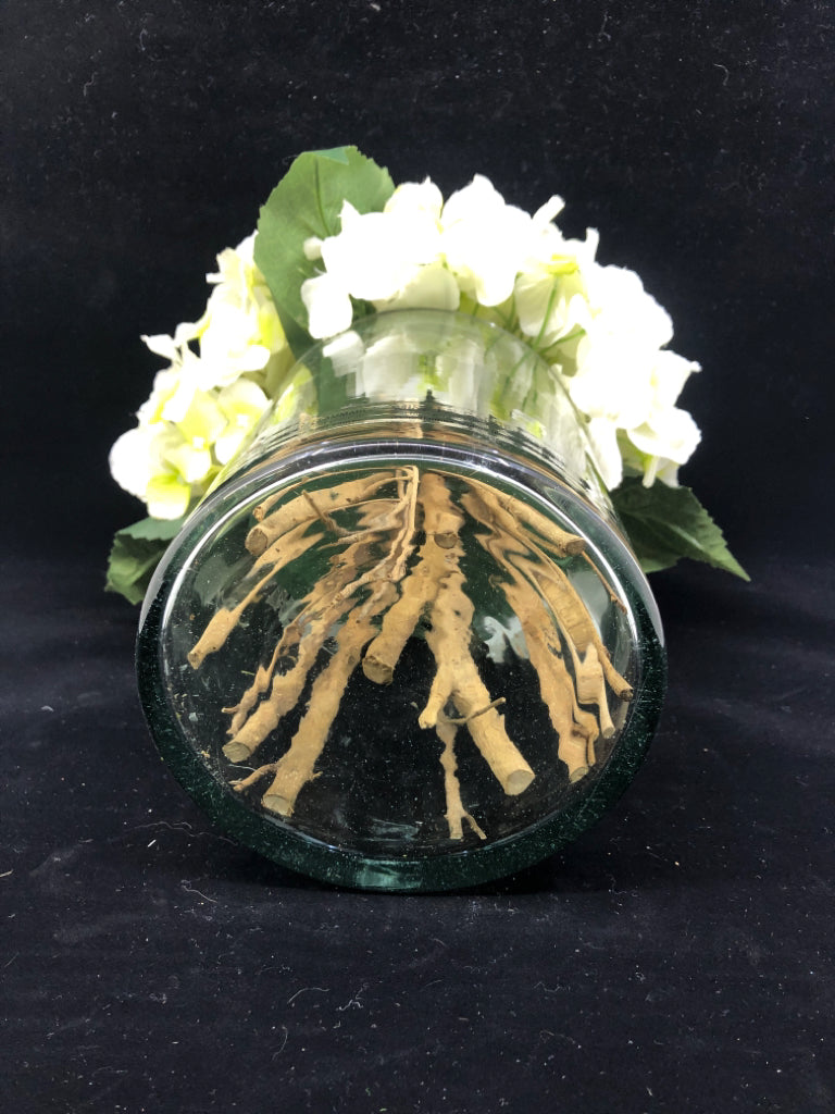 CYLINDER GLASS VASE W/WHITE HYDRANBGEA FLOWERS.