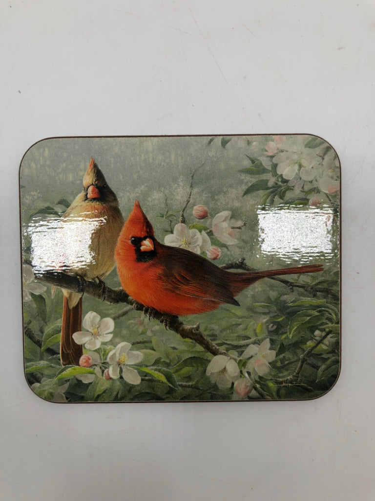 6 JASON BIRD COASTERS IN BOX.
