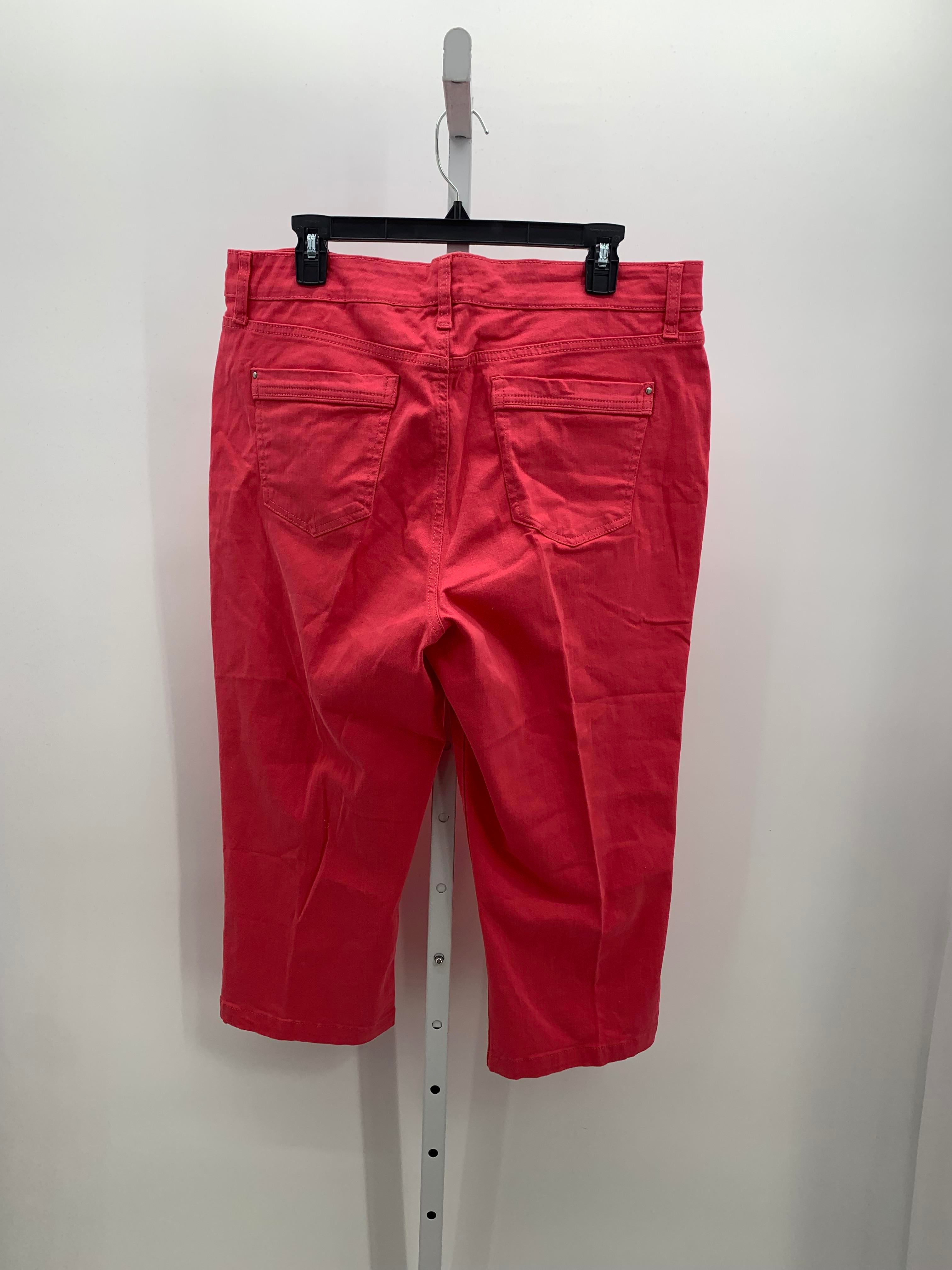Bandolino Size 14 Misses Capri Pants
