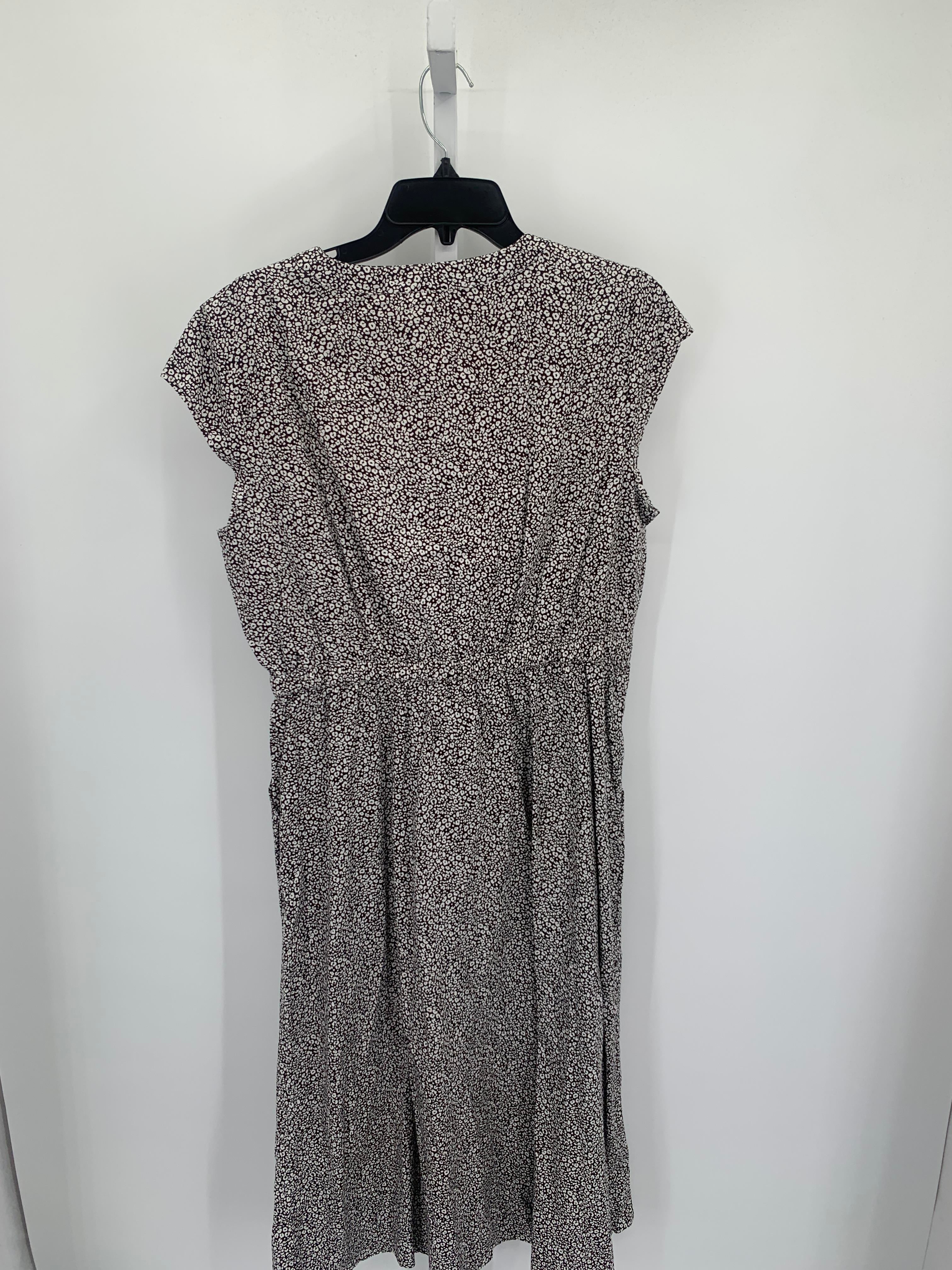 Loft Size 8 Misses Short Sleeve Dress