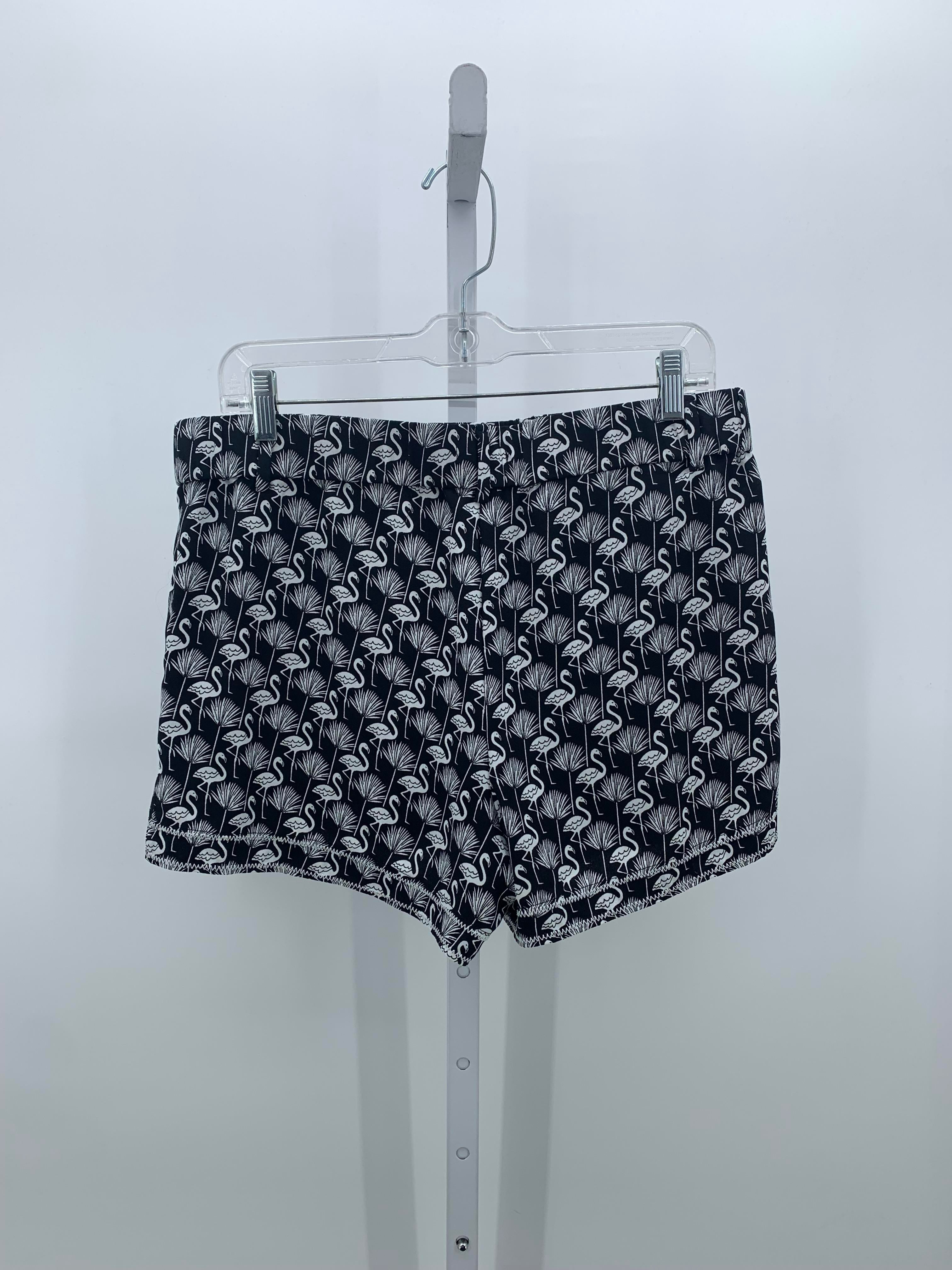 Loft Size Medium Misses Shorts
