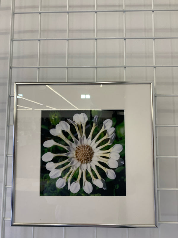 CLOSE UP WHITE FLOWER IN SILVER FRAME WALL ART.