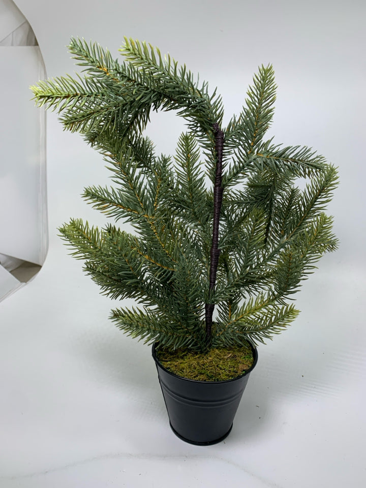 SMALL FAUX PINE TREE IN BLACK PLANTER.