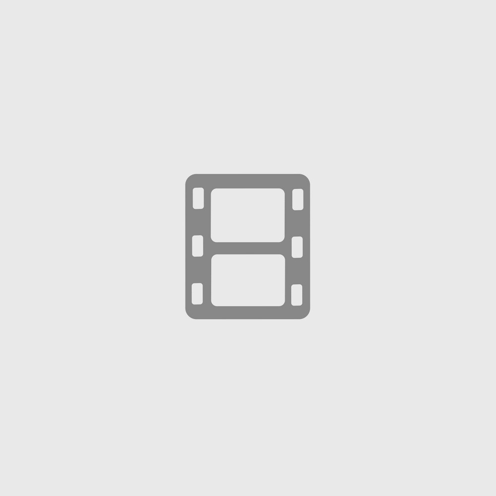 The Silent Partner -