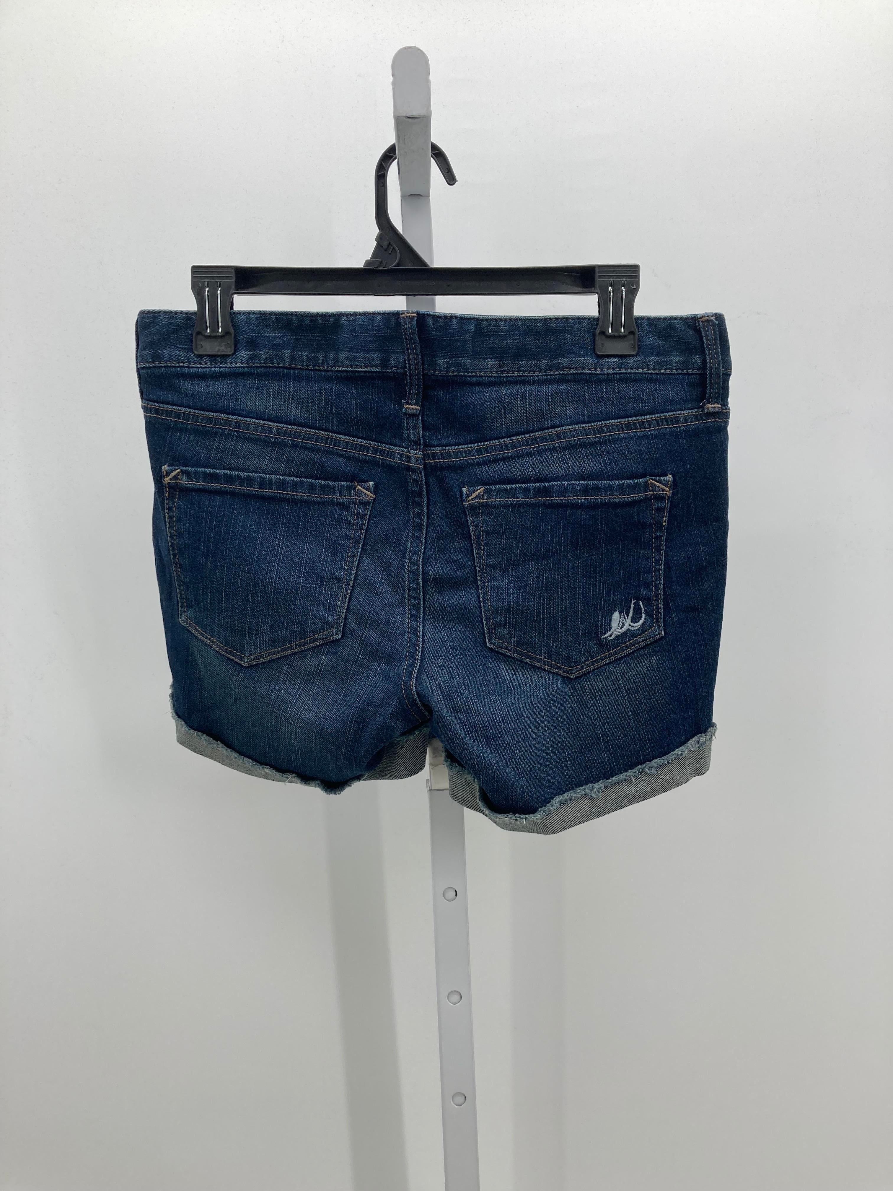 Express Size 6 Misses Shorts