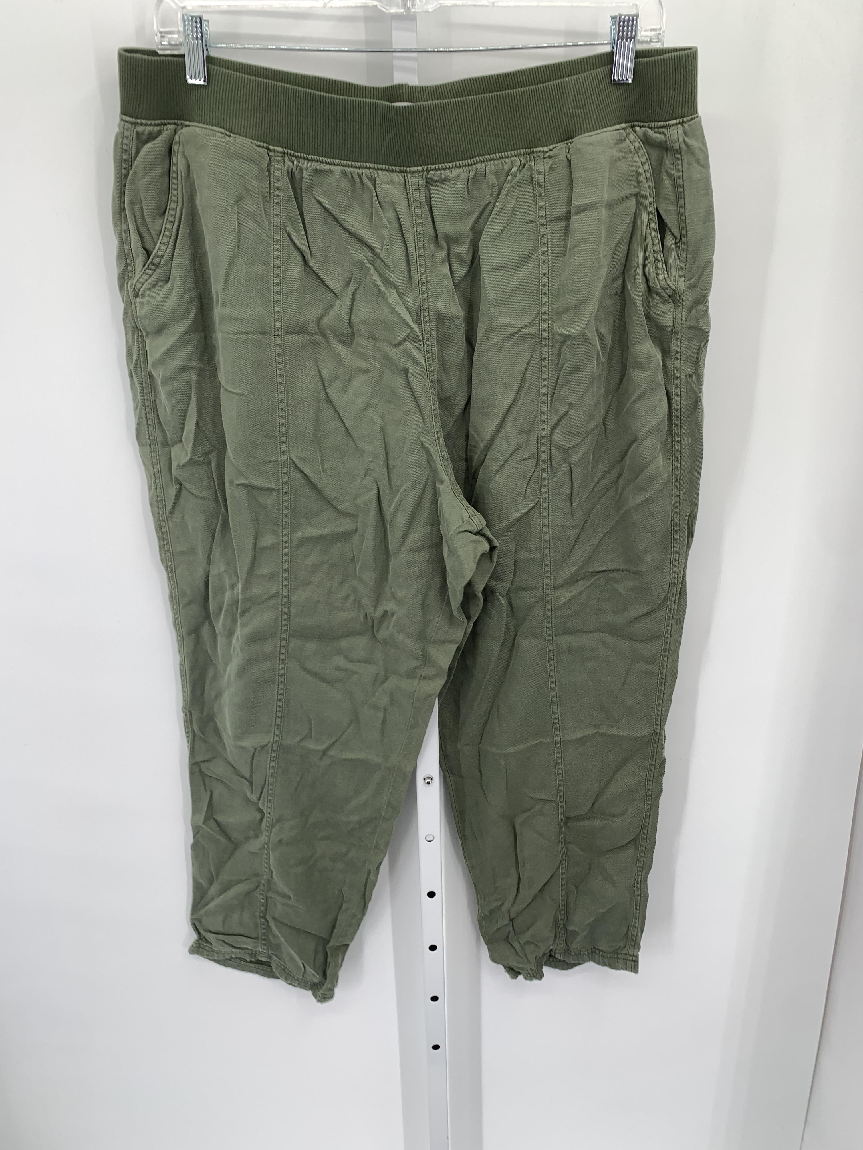 Sonoma Size 1X Womens Pants