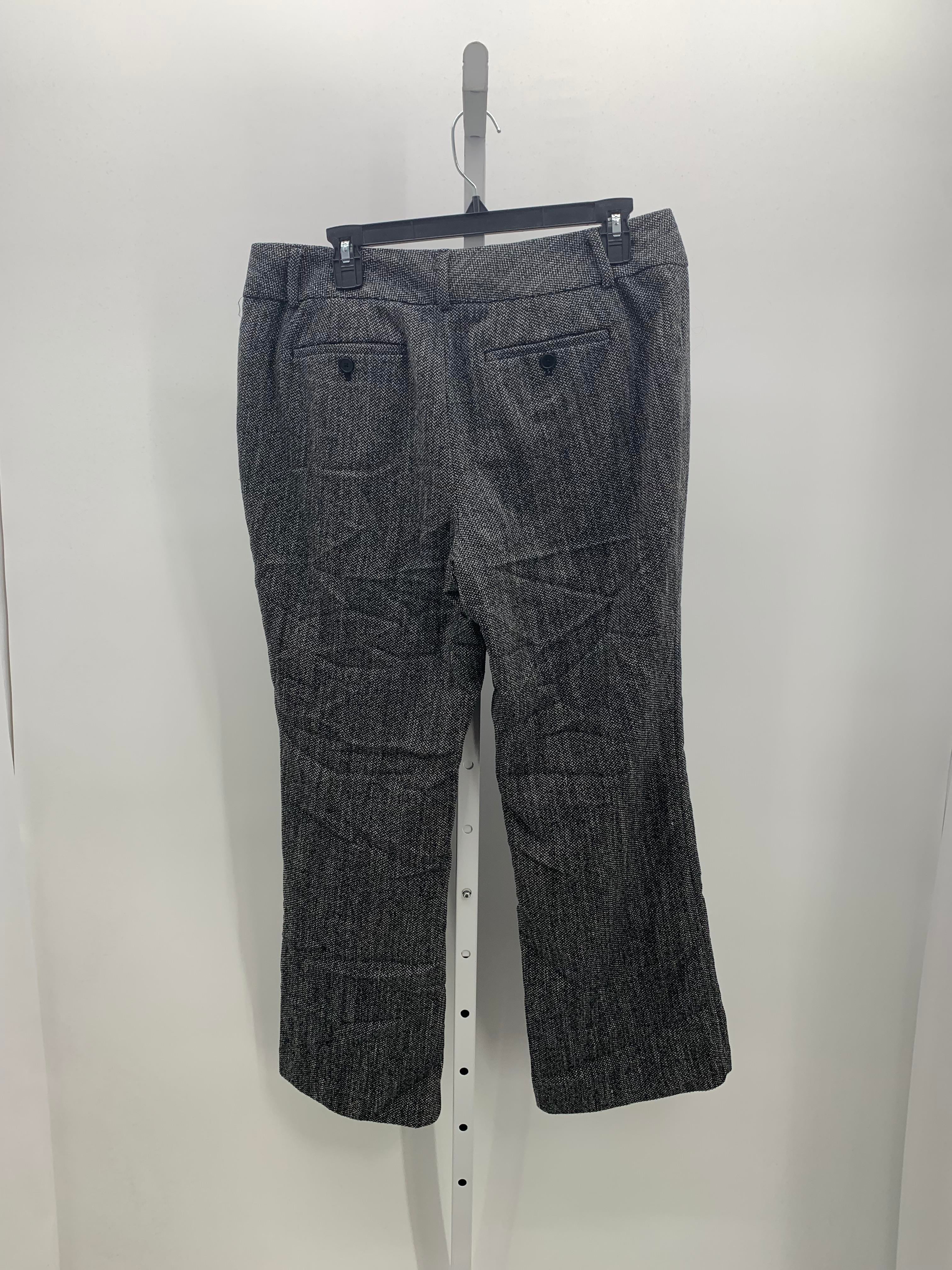 Loft Size 12 Petite Petite Pants