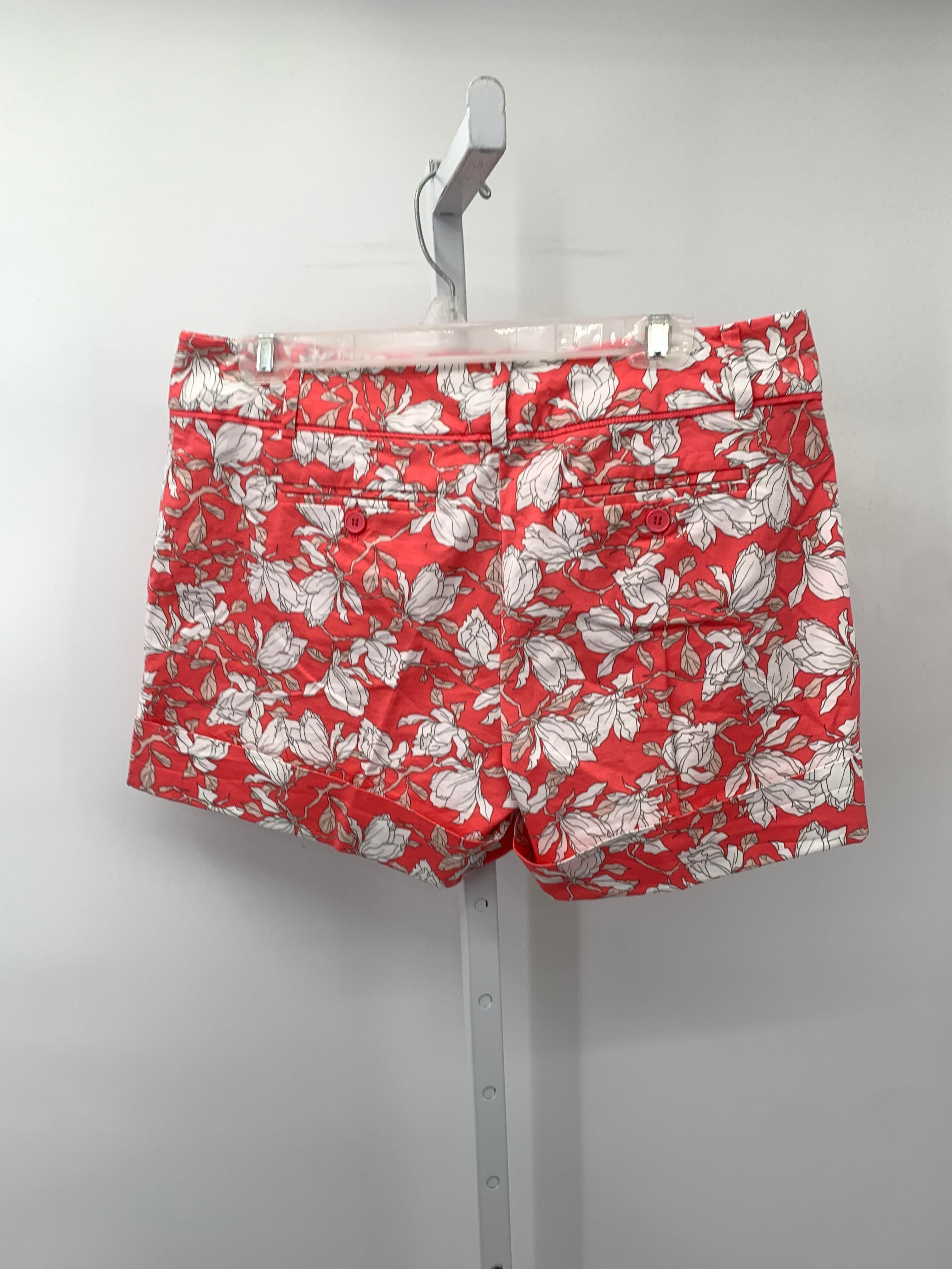 New York & co. Size 10 Misses Shorts