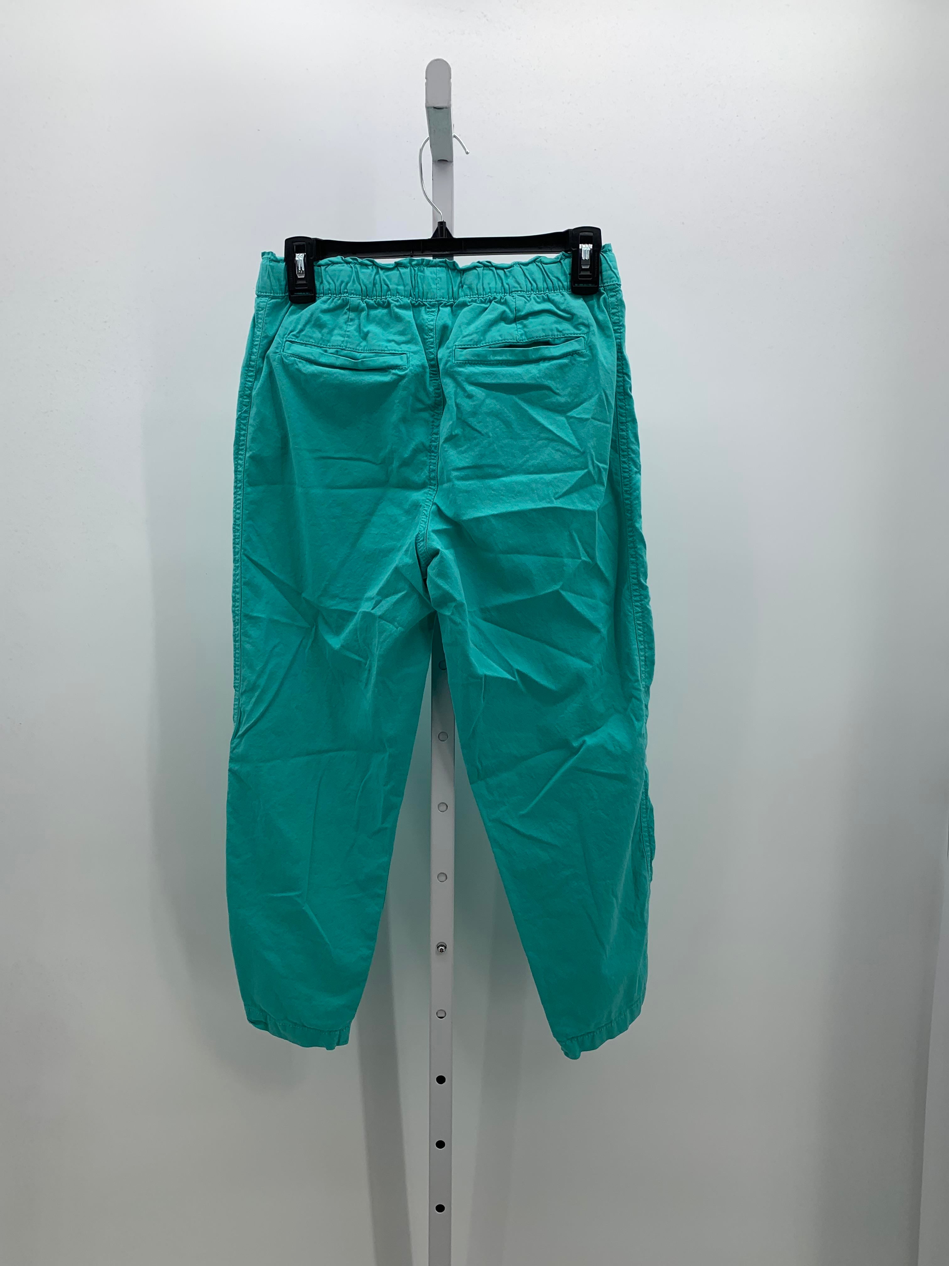 Sonoma Size X Small Petite Petite Pants