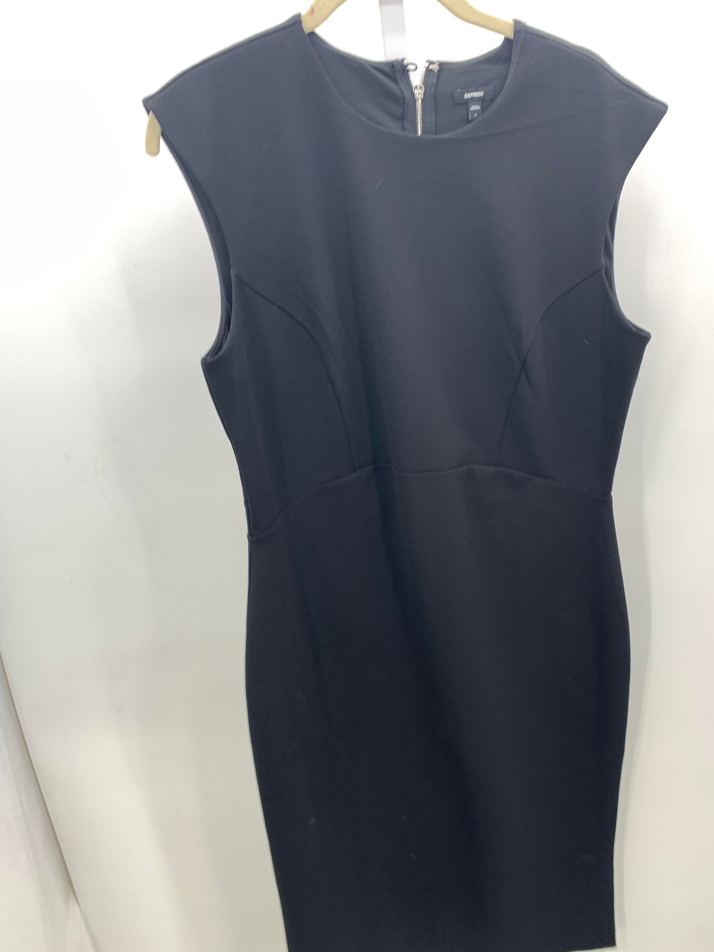 Express Size Large Misses Sleeveless Dress