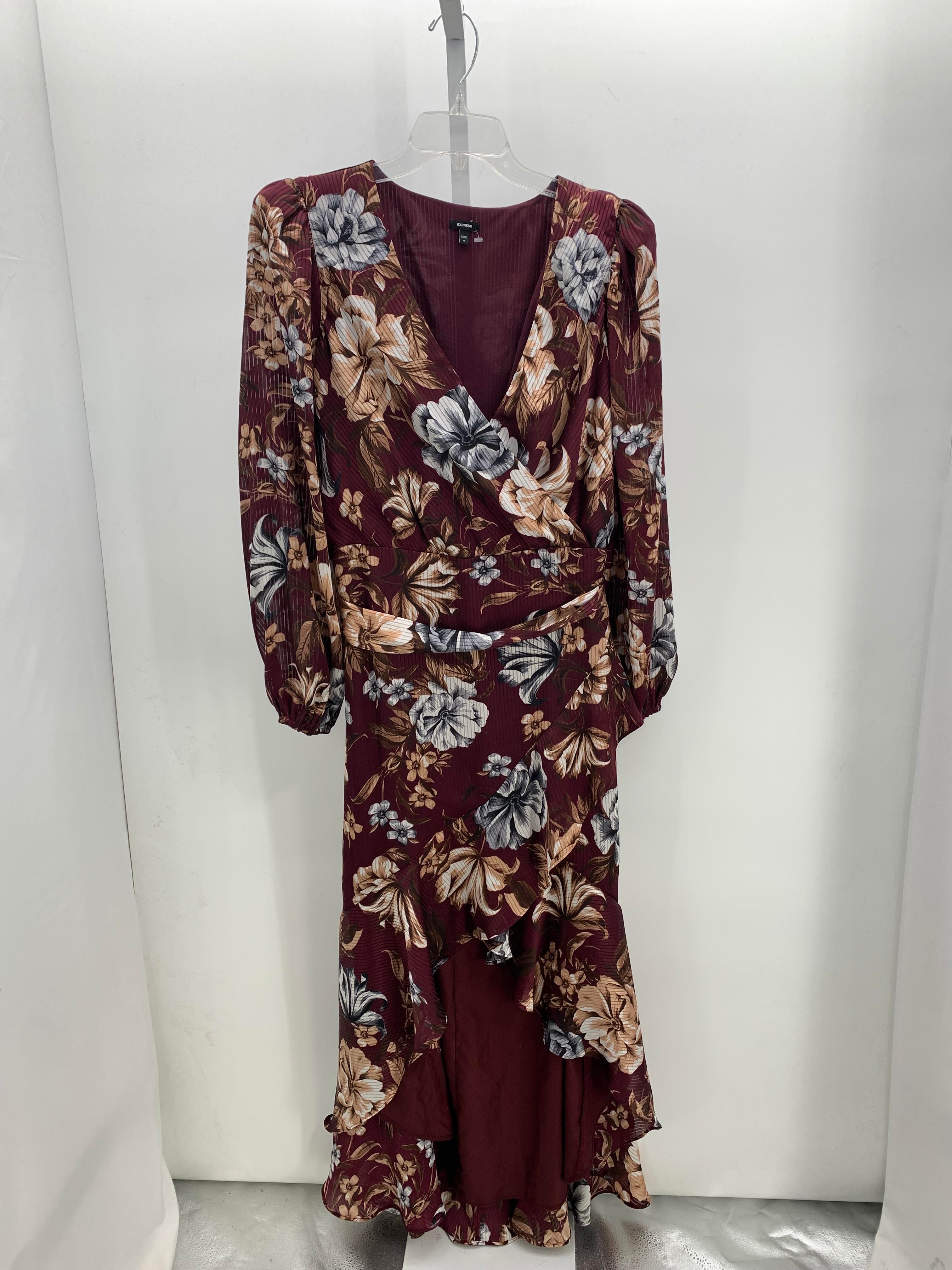 Express Size Extra Large Misses Long Sleeve Dress