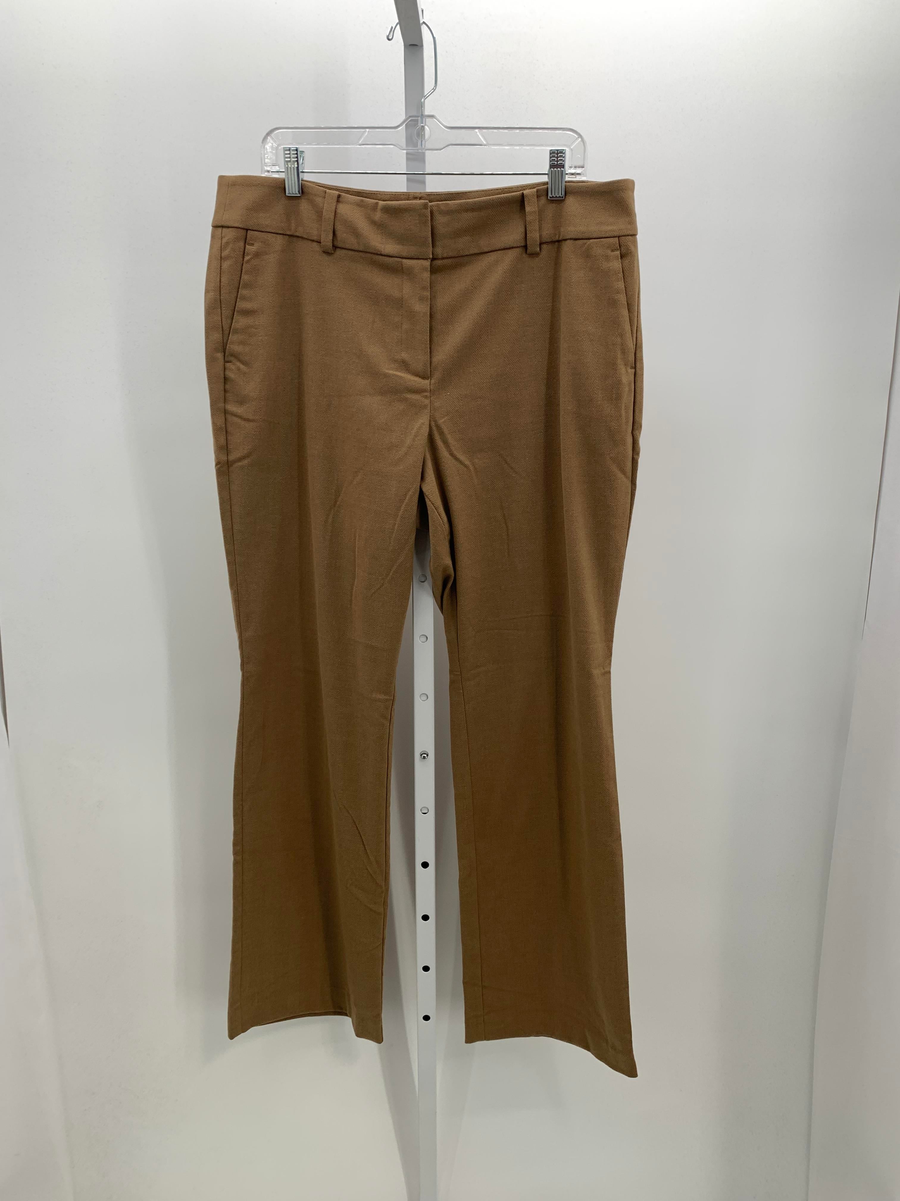 Loft Size 14 Misses Pants