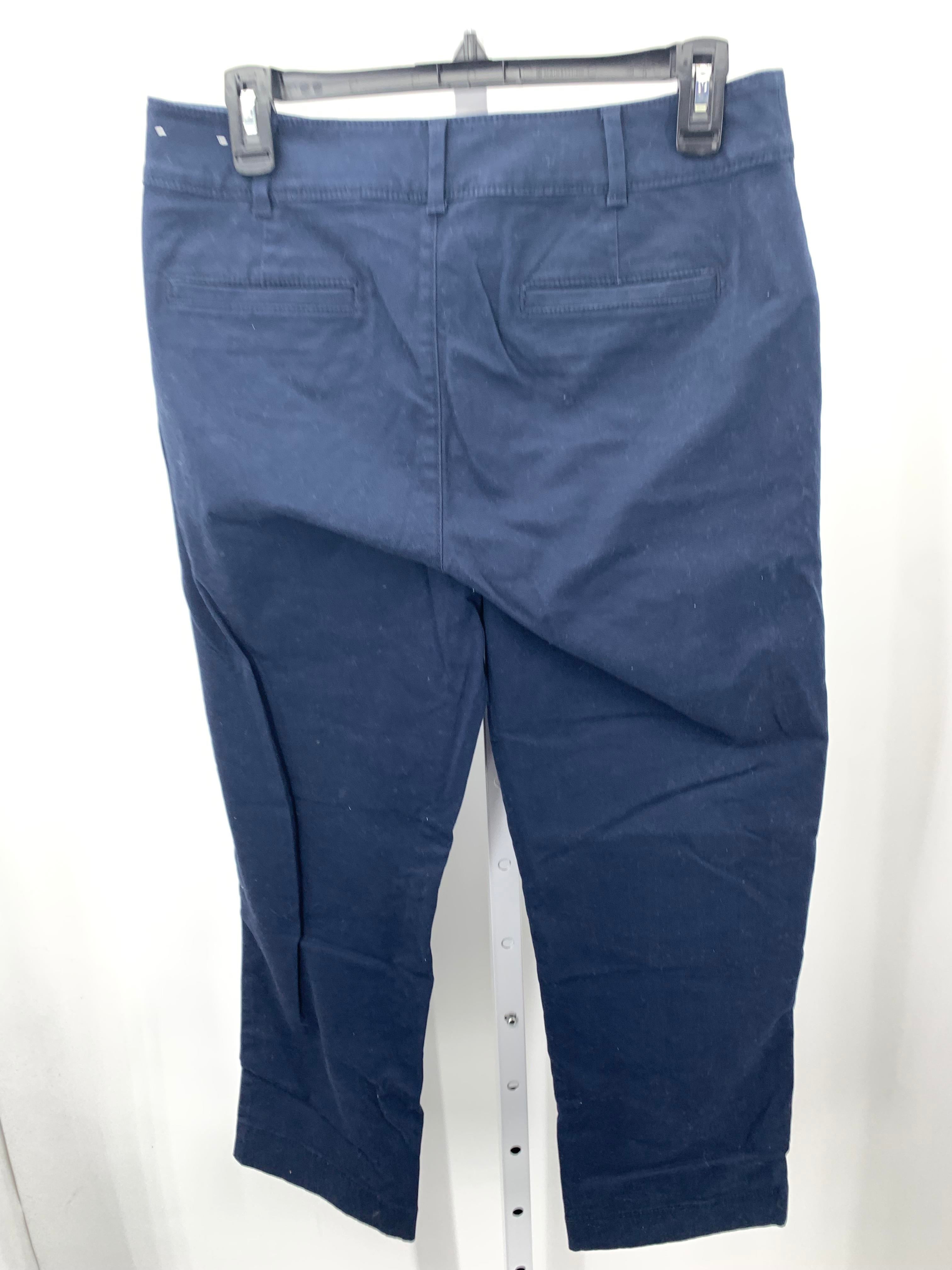 Loft Size 6 Petite Petite Pants