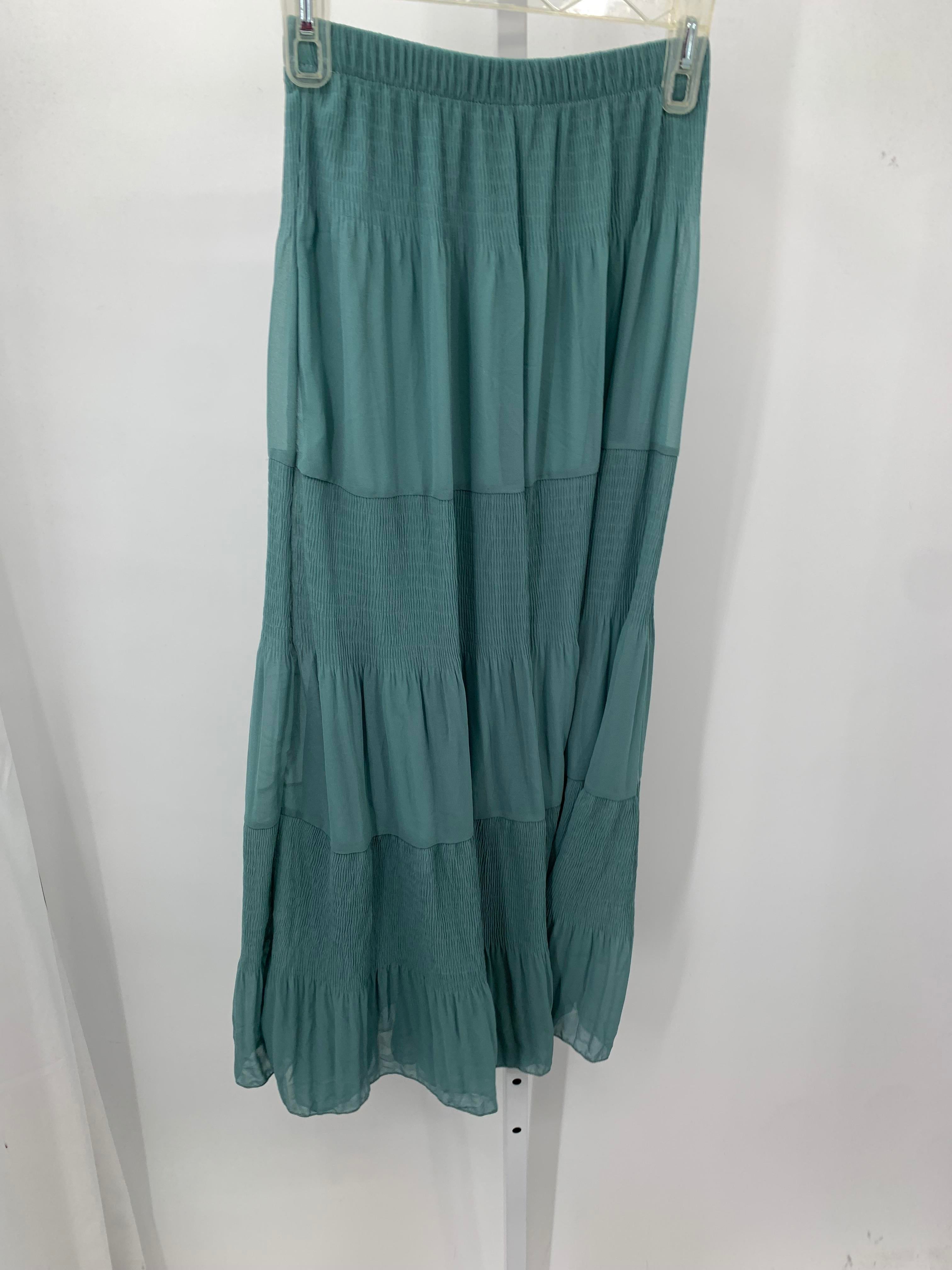 Size Small Misses Skirt