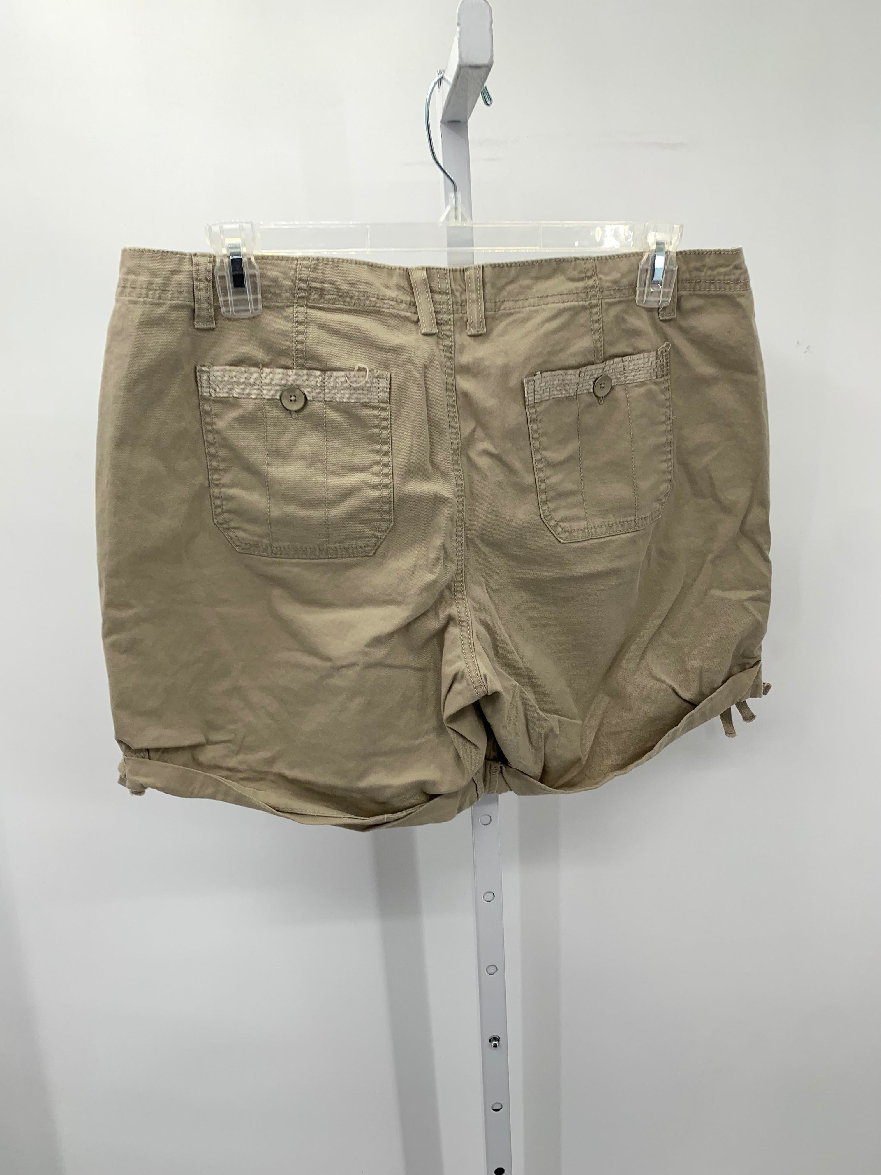 Nine West Size 14 Misses Shorts