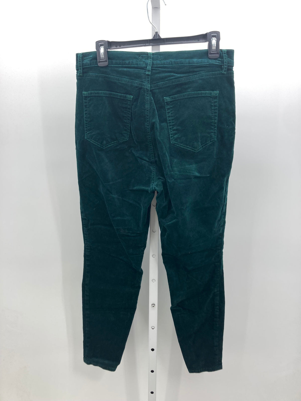 Loft Size 12 Petite Petite Pants