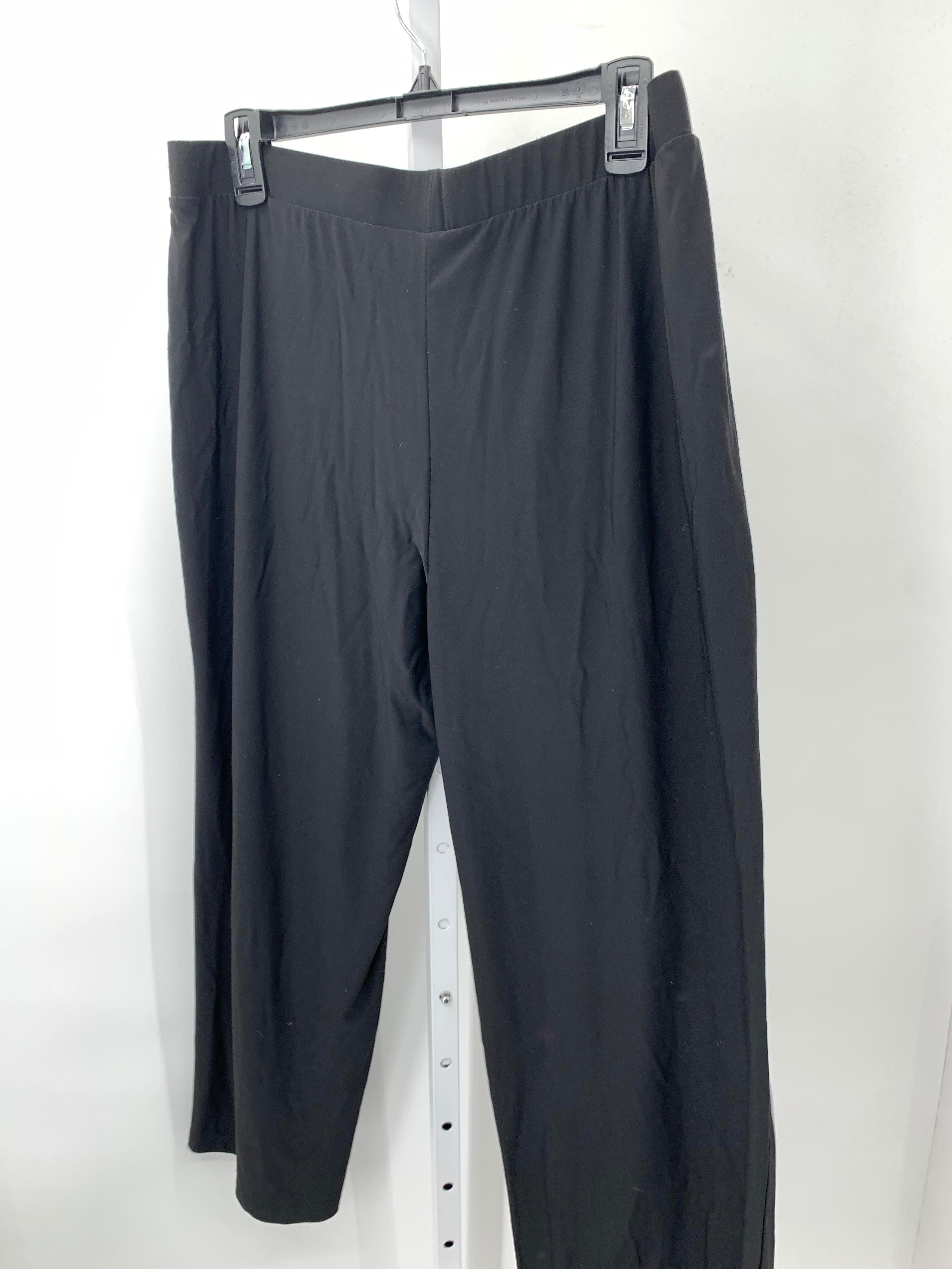 Premise Size Extra Large Misses Pants