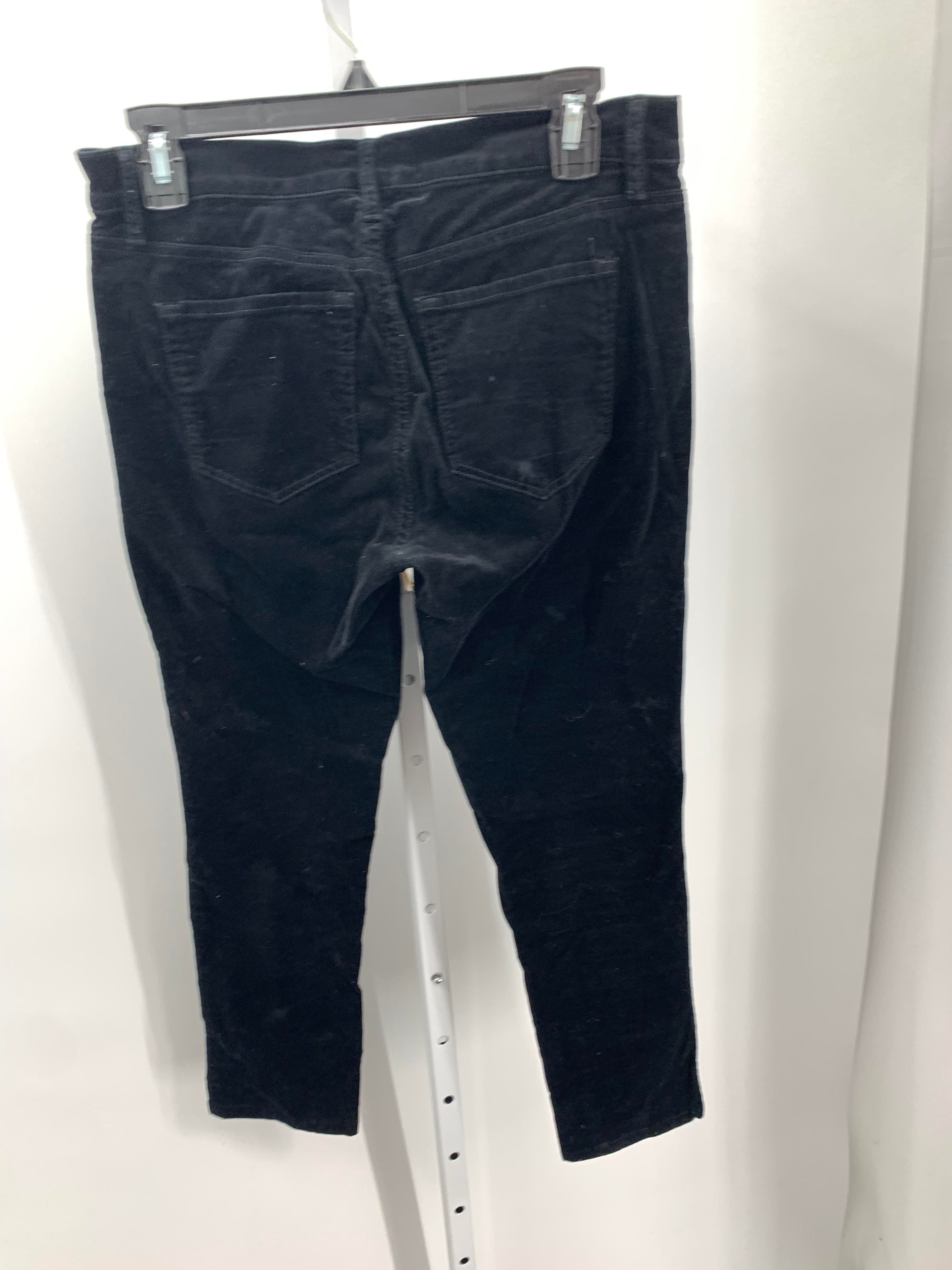 Loft Size 4 Misses Pants