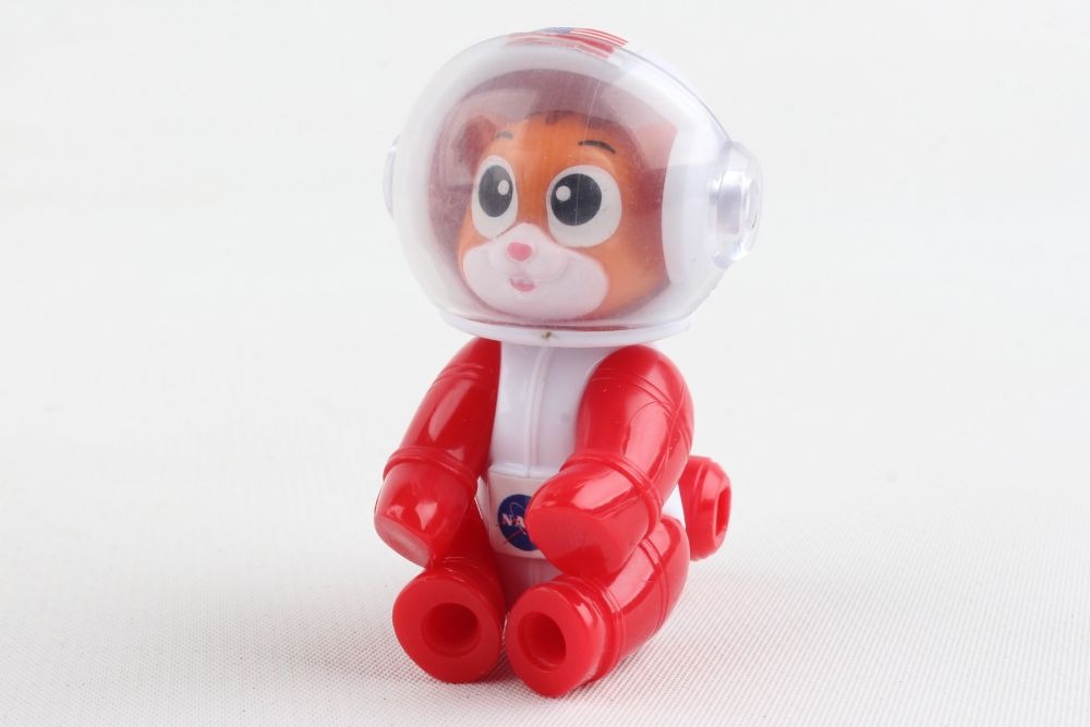 Mars Mission Astronimals - Cat